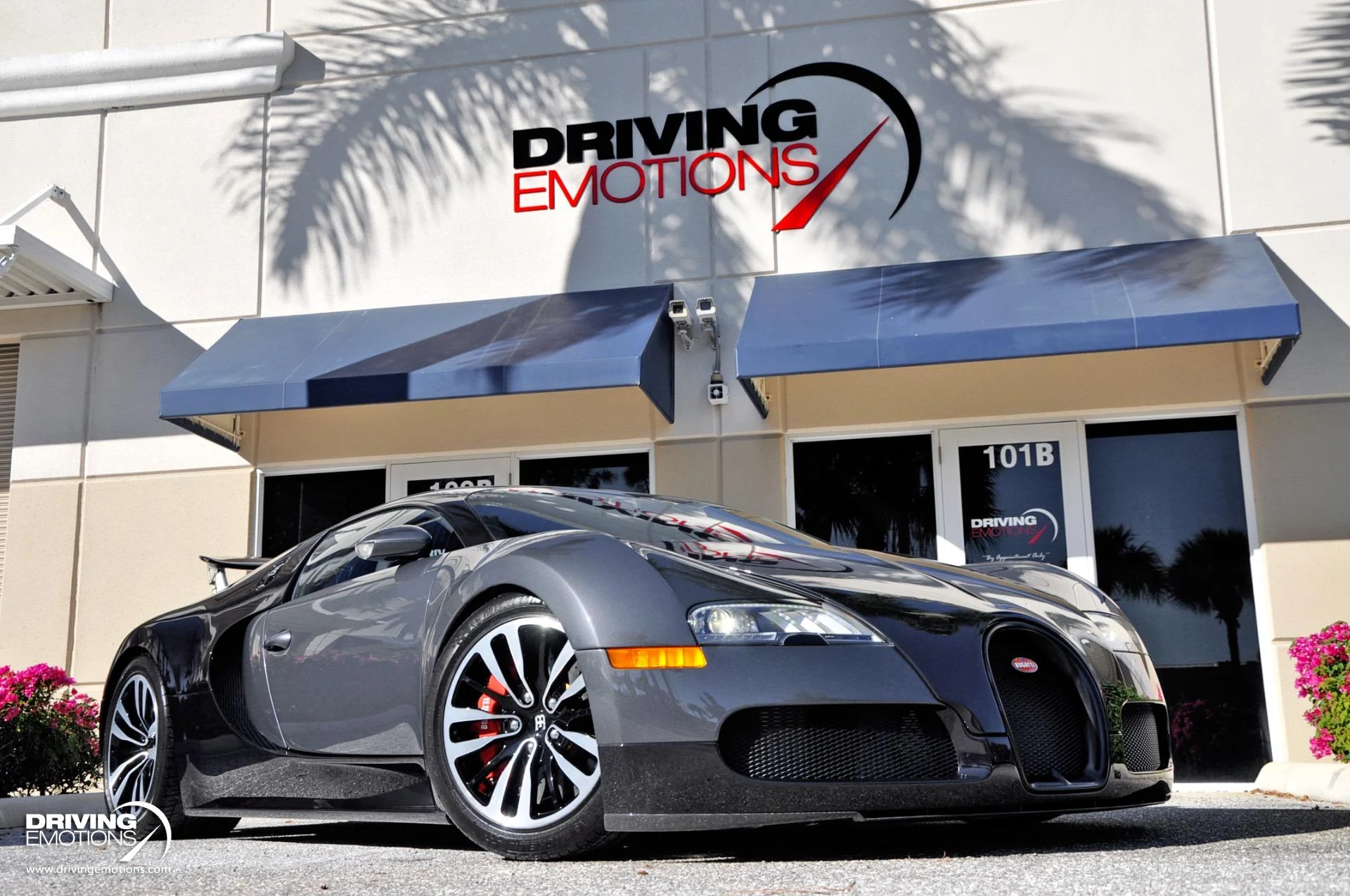 mph009_3900567422_479_p10_l_d53901fe02