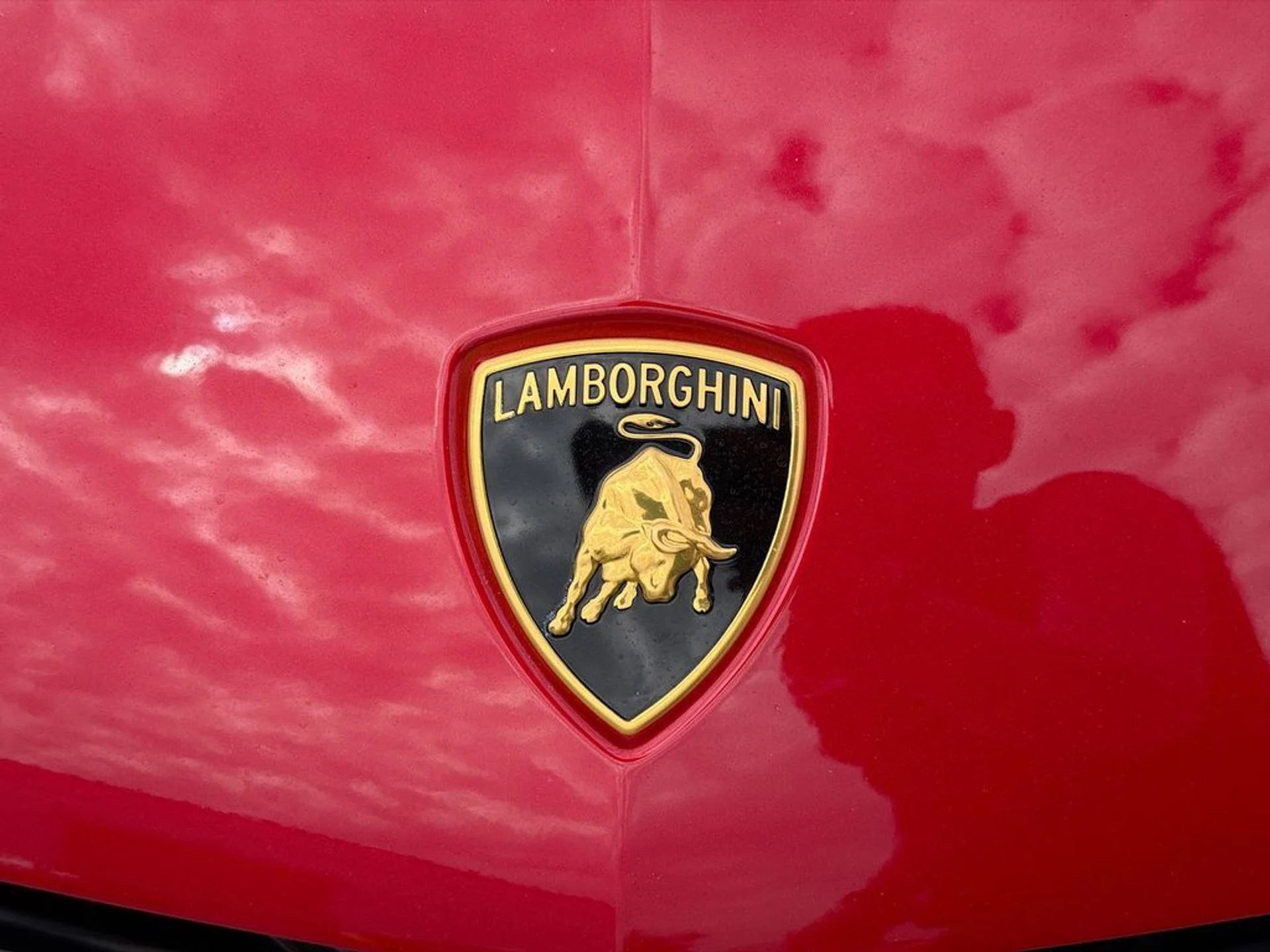 mph009_3921090174_29cc0be5262bbc485389ae5feb87697fx_e312d2d282