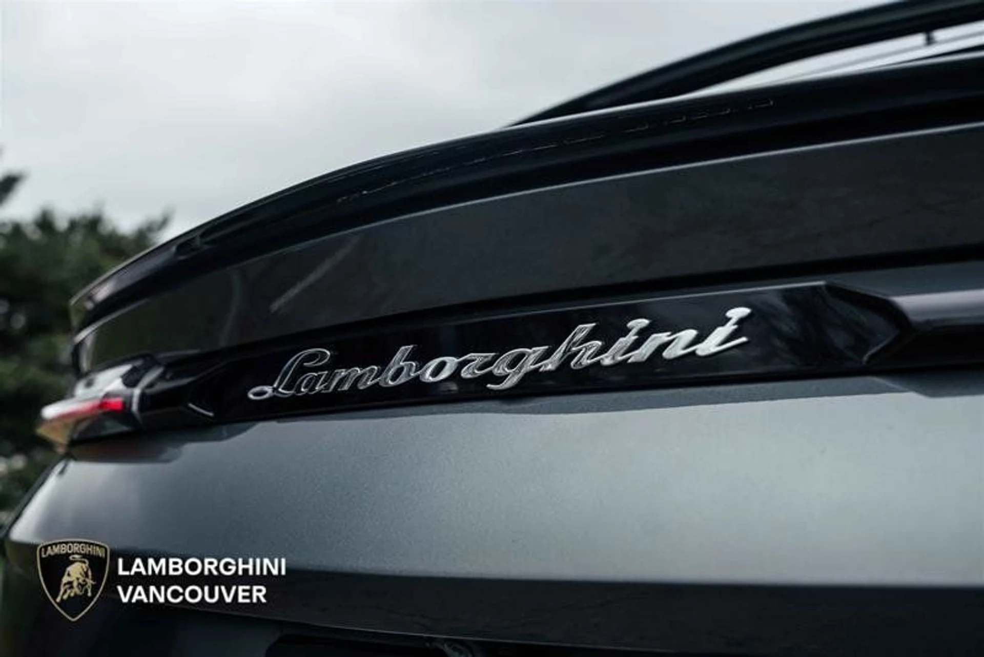 mph009_3936915534_38171146_00903_11892917_1639890137_614b57186a