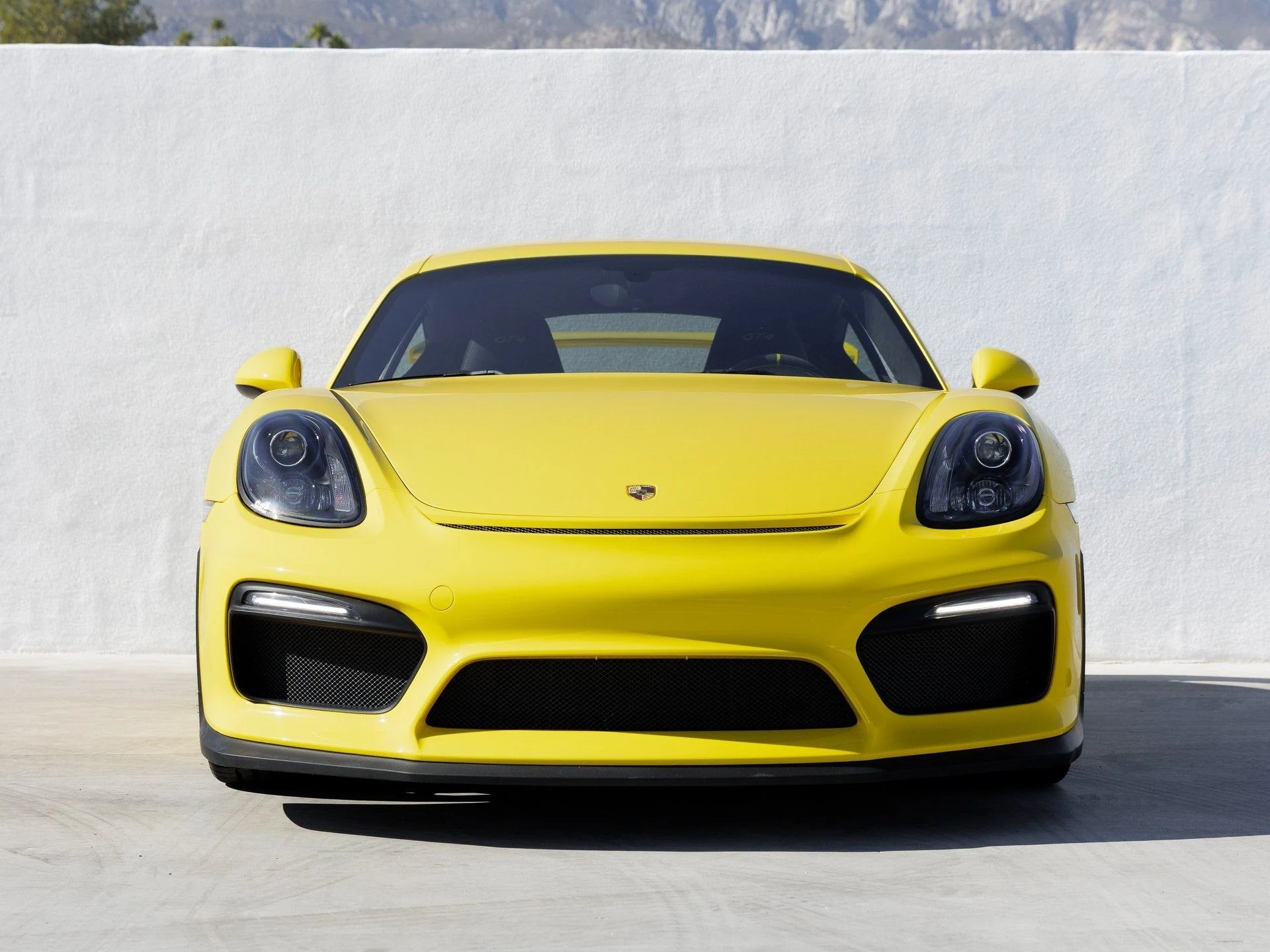 mph009_3937533840_10_c816841b91