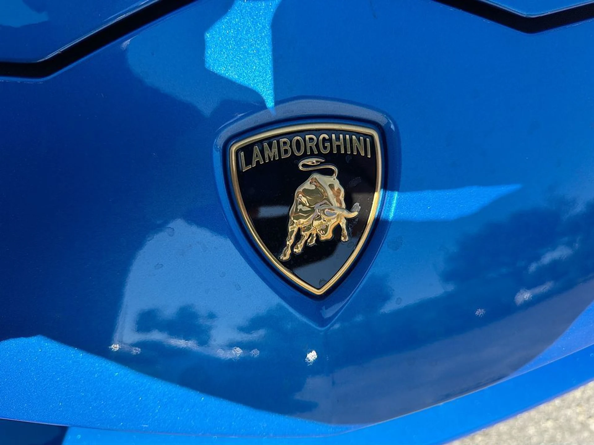 mph009_3994584959_d6f5be7bfab9b5f0962d050c521632f5x_ac5ed514b4