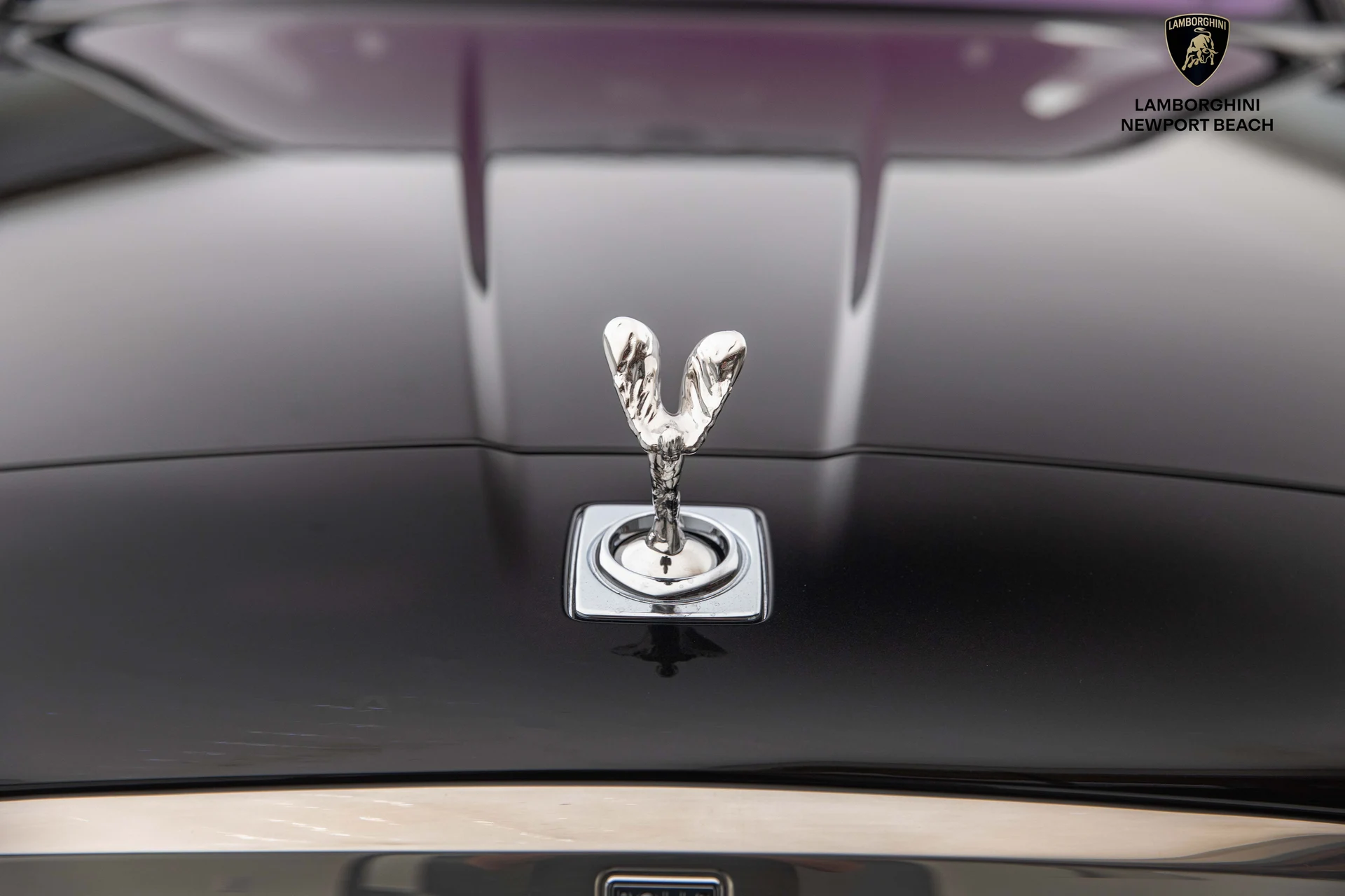 mph009_4074699596_47869609efc74d0ba2949541a7b53a36_14d09a8fd1