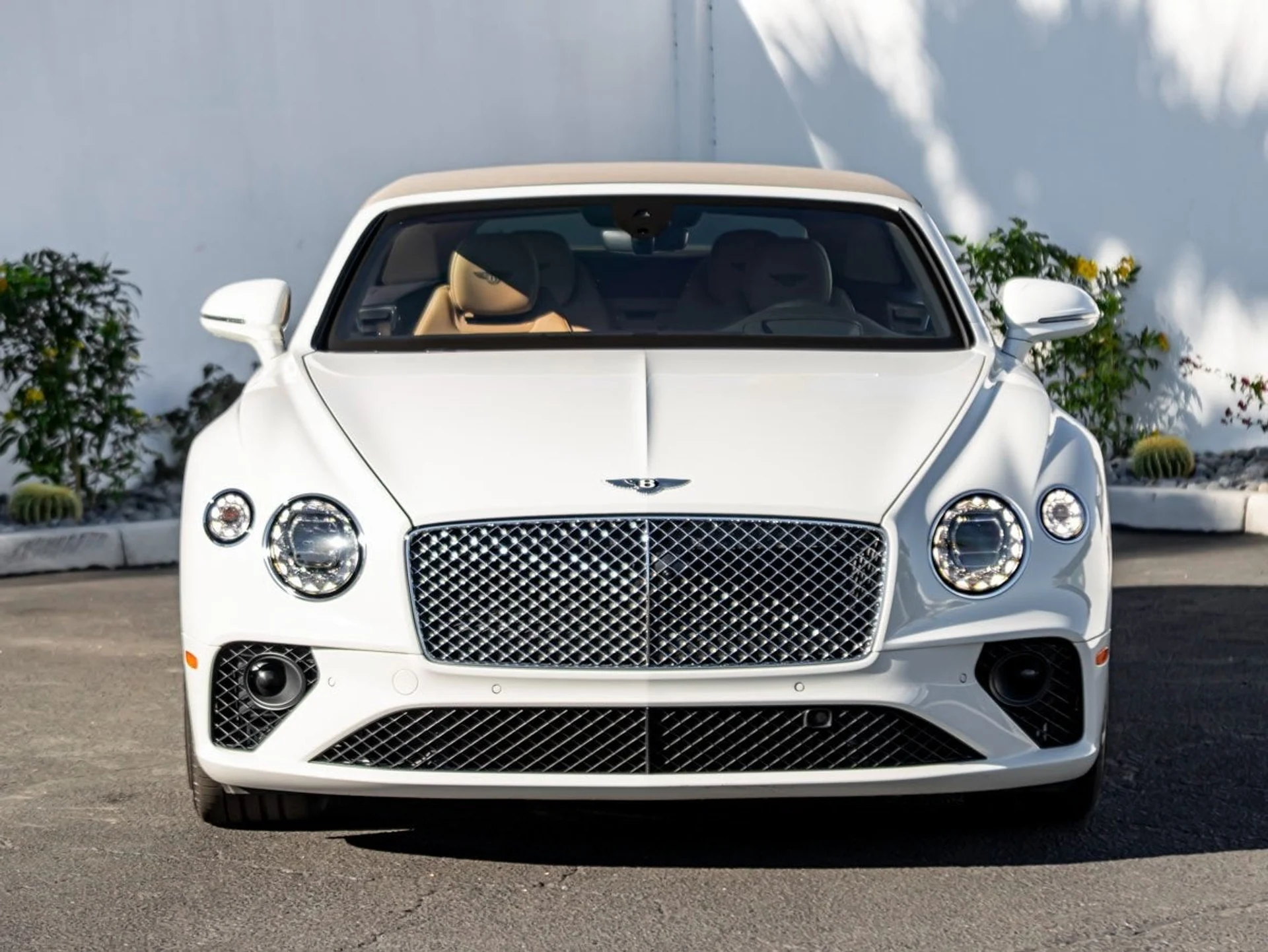 mph009_4090682109_10_5268088438