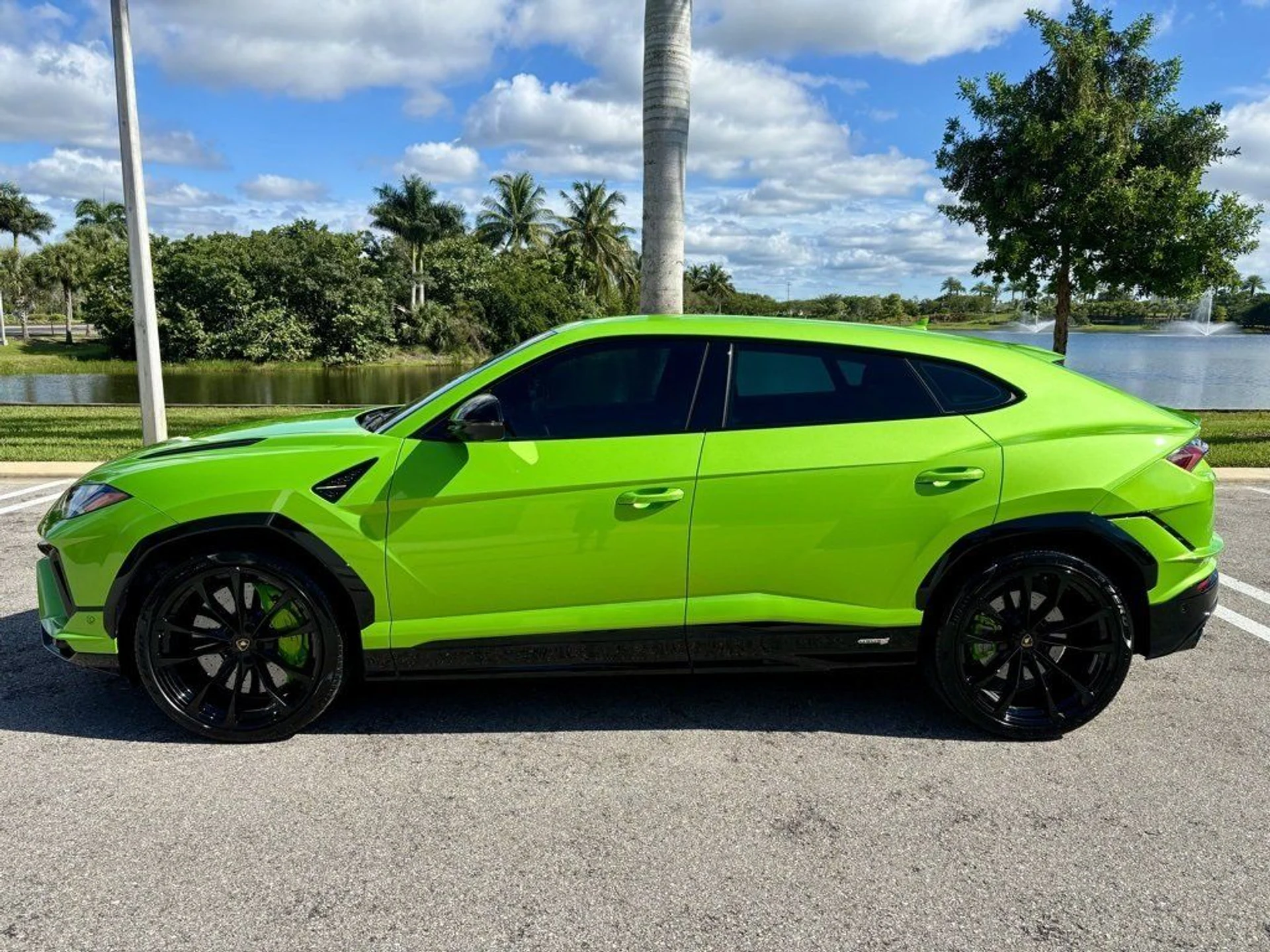 mph009_4121139508_d2a3c1e746e7fc7db09b78536f2587cd_faad73885d