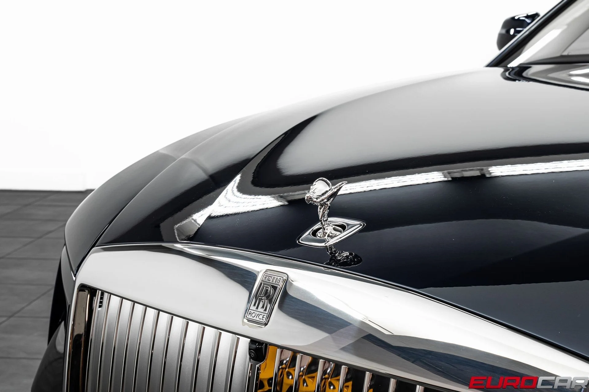 mph009_4127456578_image_10_b77b61fd1d