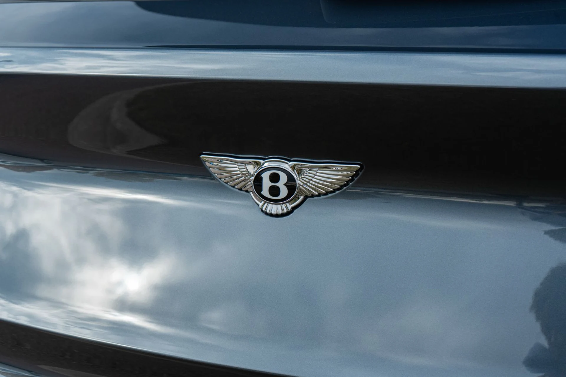 mph009_413607138_bf274f8d_fff7_424e_a1ec_d79f3c72ce6d_afaae88a93