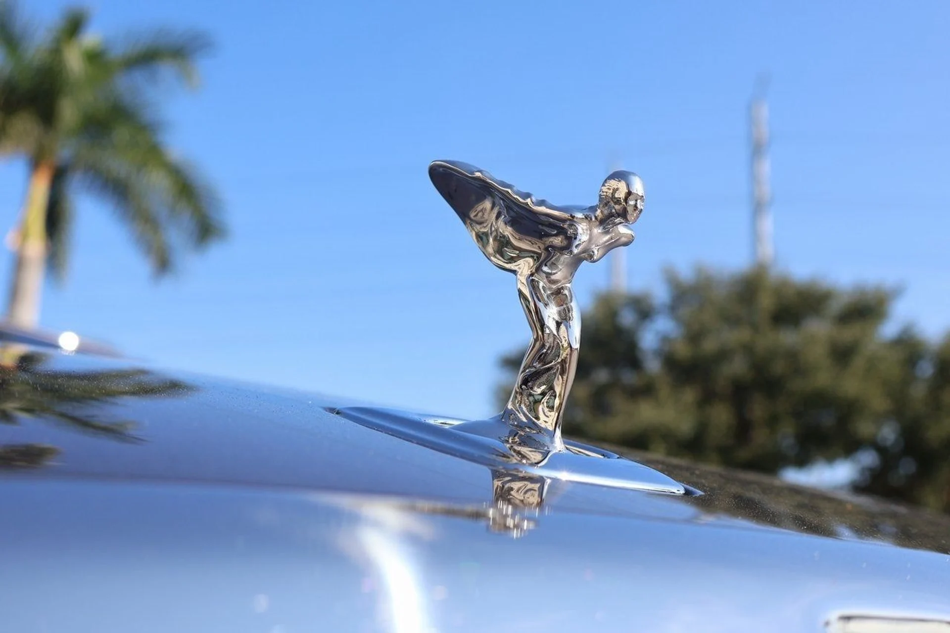 mph009_4213013377_10_51c5deae39