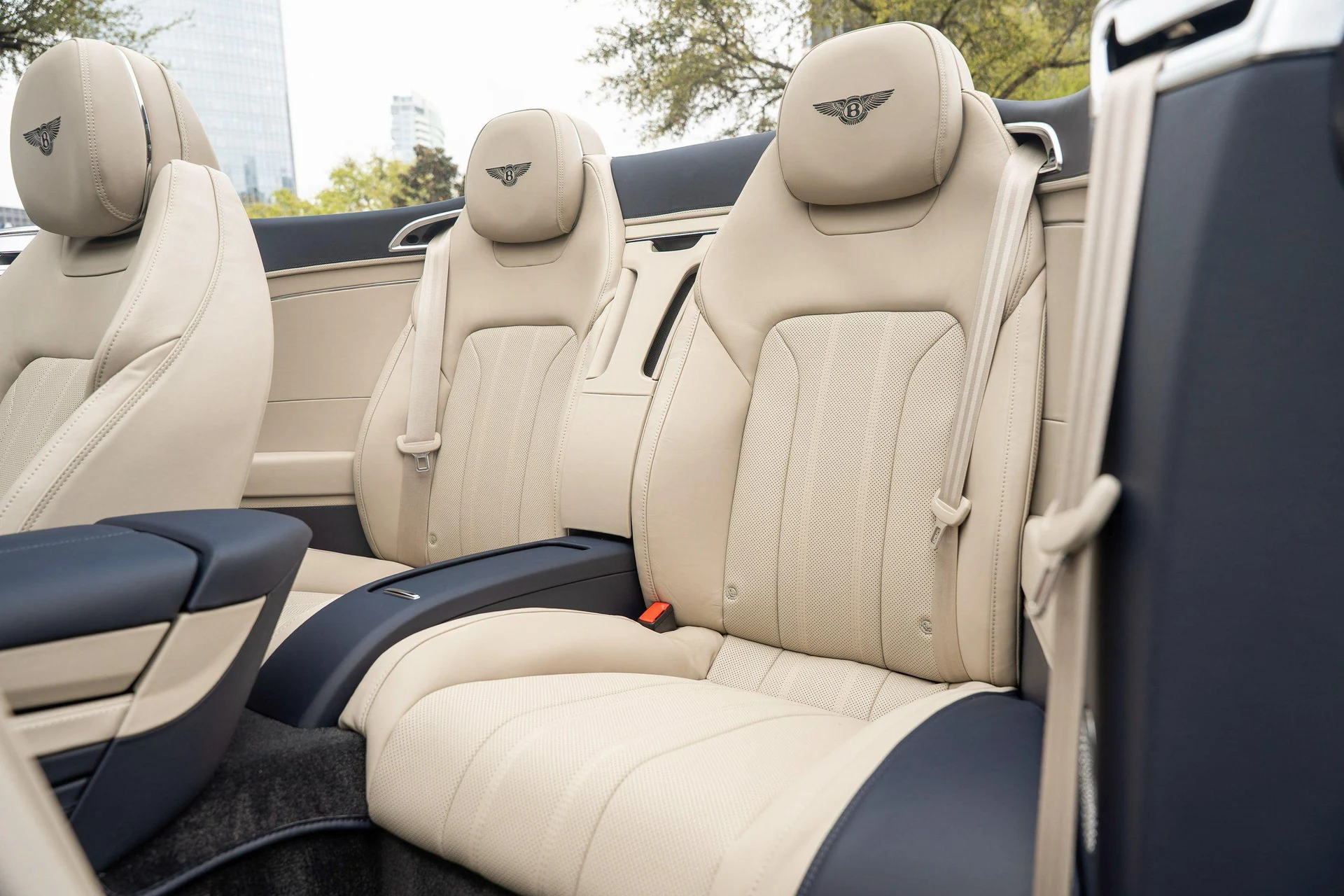 mph009_4215663488_501195975_69b06d61d6285b6da9670394_3b27758094