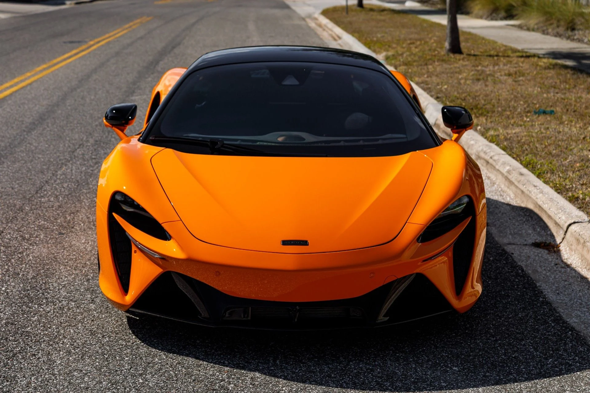 mph009_4223967974_653_p10_l_fe6cfec254