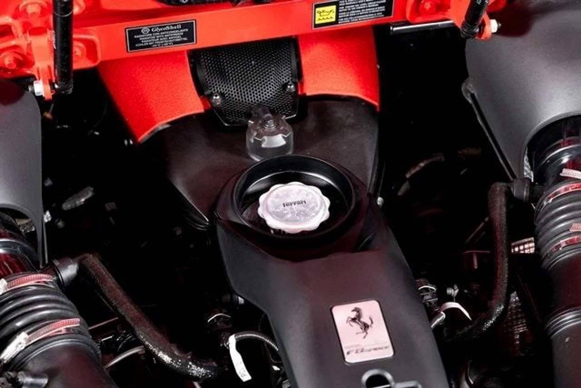 mph009_4268205390_d7eaa8104dfffcd56204b1d8e8c39150x_d18a5412d6