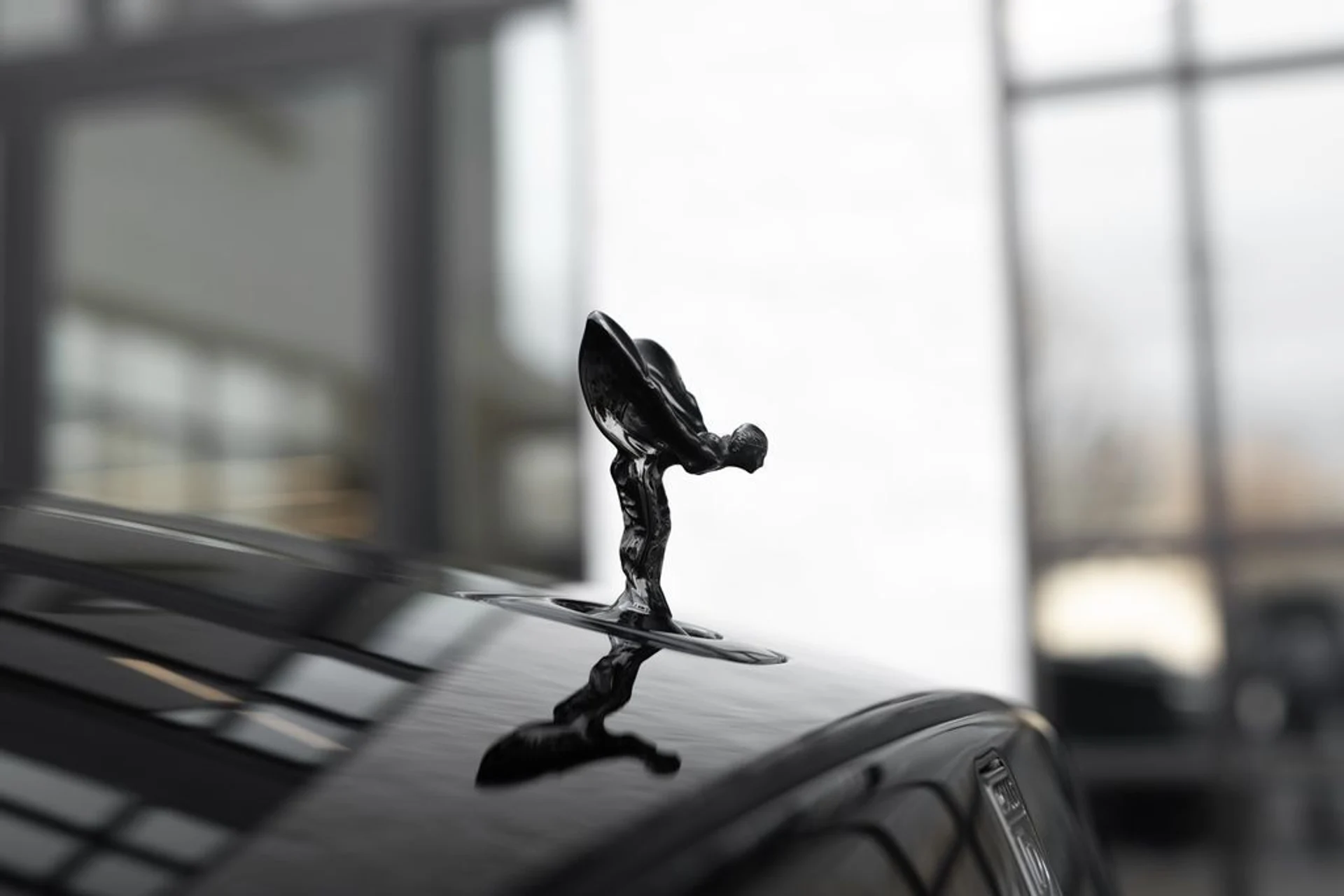 mph009_579613679_a09317f204e26b7e43f49bb662f48b3fx_8c8dae26d9