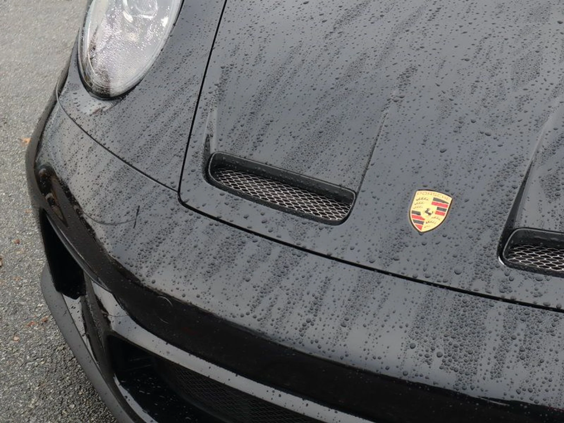 mph009_60949548_37268571_03123_8105fbccc3c39839c7038a5286f923f8_d12eb81d05