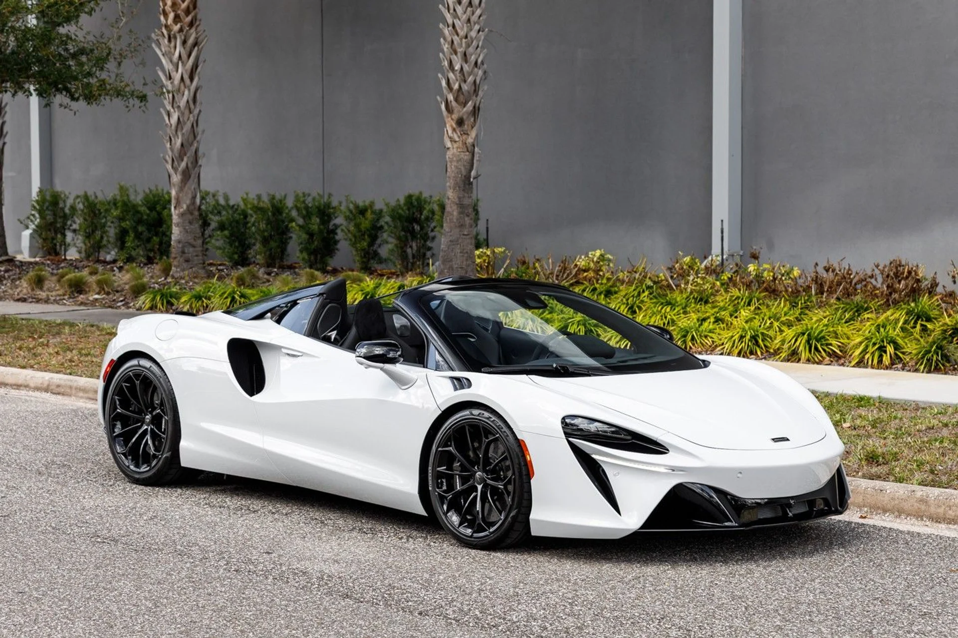 mph009_611264911_658_p10_l_ddb39e3005