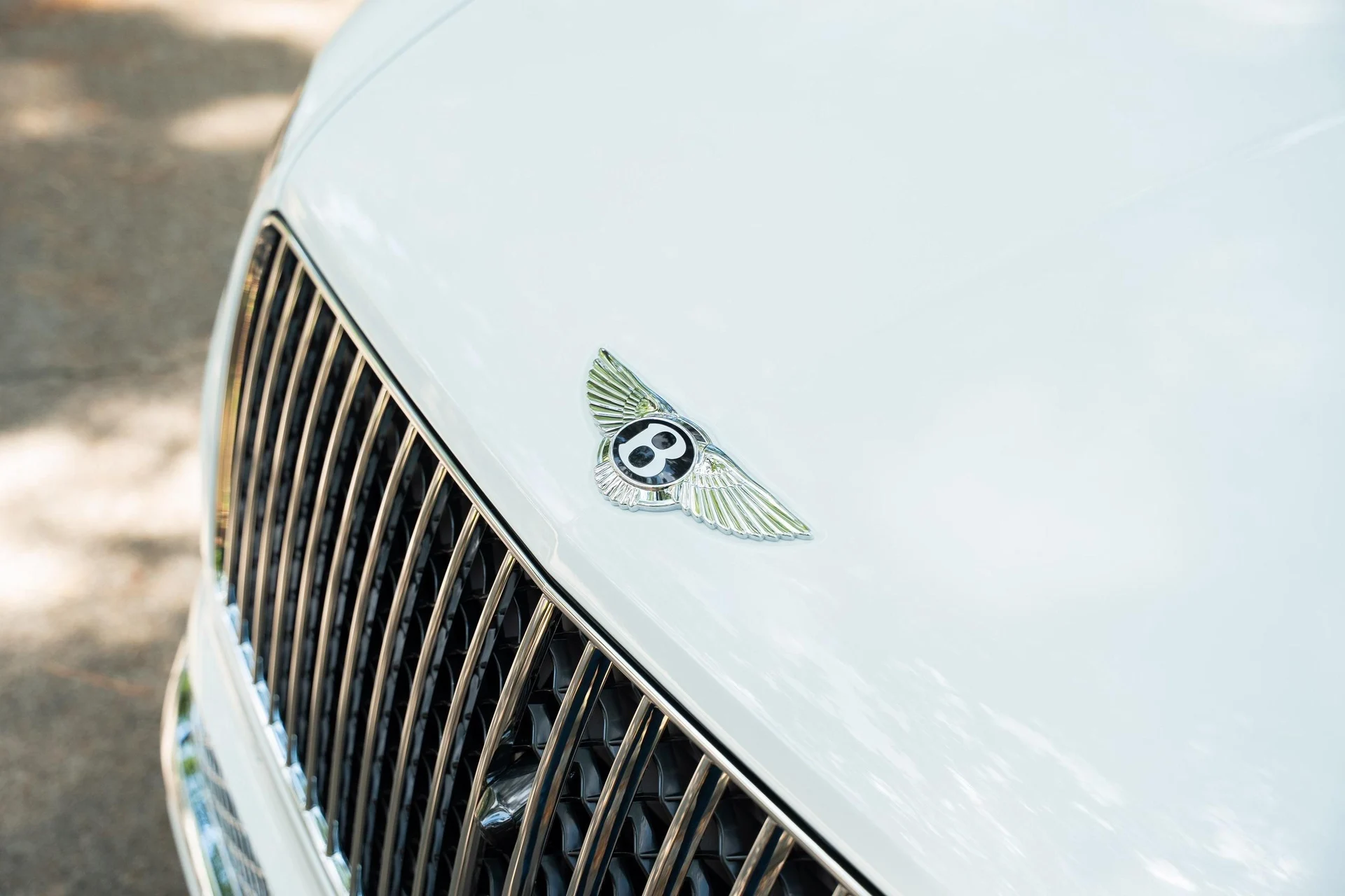 mph009_677335707_442093801_689432923c08f0aab8b366c7_051b90696c