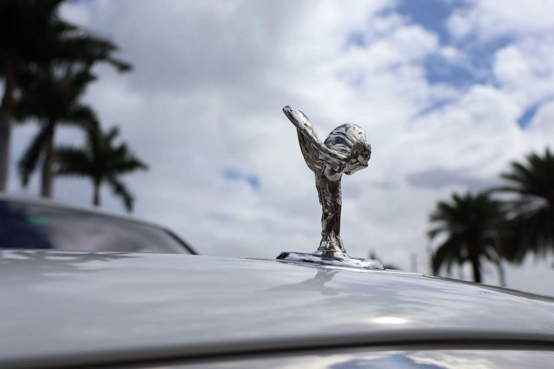 mph009_7524206_10_5cf2b05862