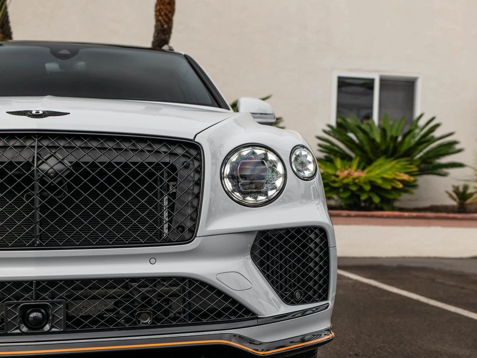 mph009_772570889_83d615bb433a61e97cdb2b49eae62650x_34c6718ded