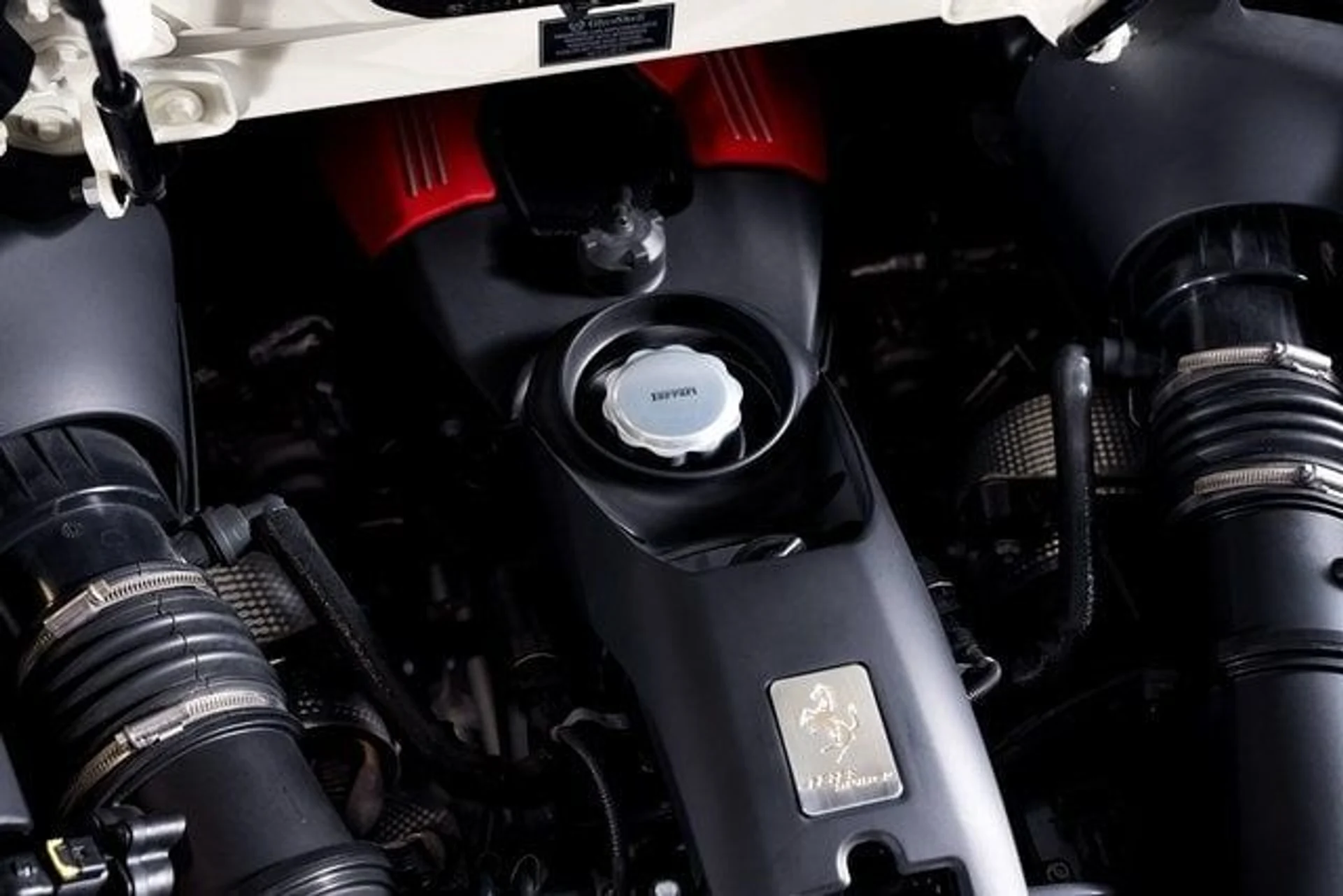 mph009_804689123_2d2badc1d8934abded7adfdf58820533x_87bb15e954