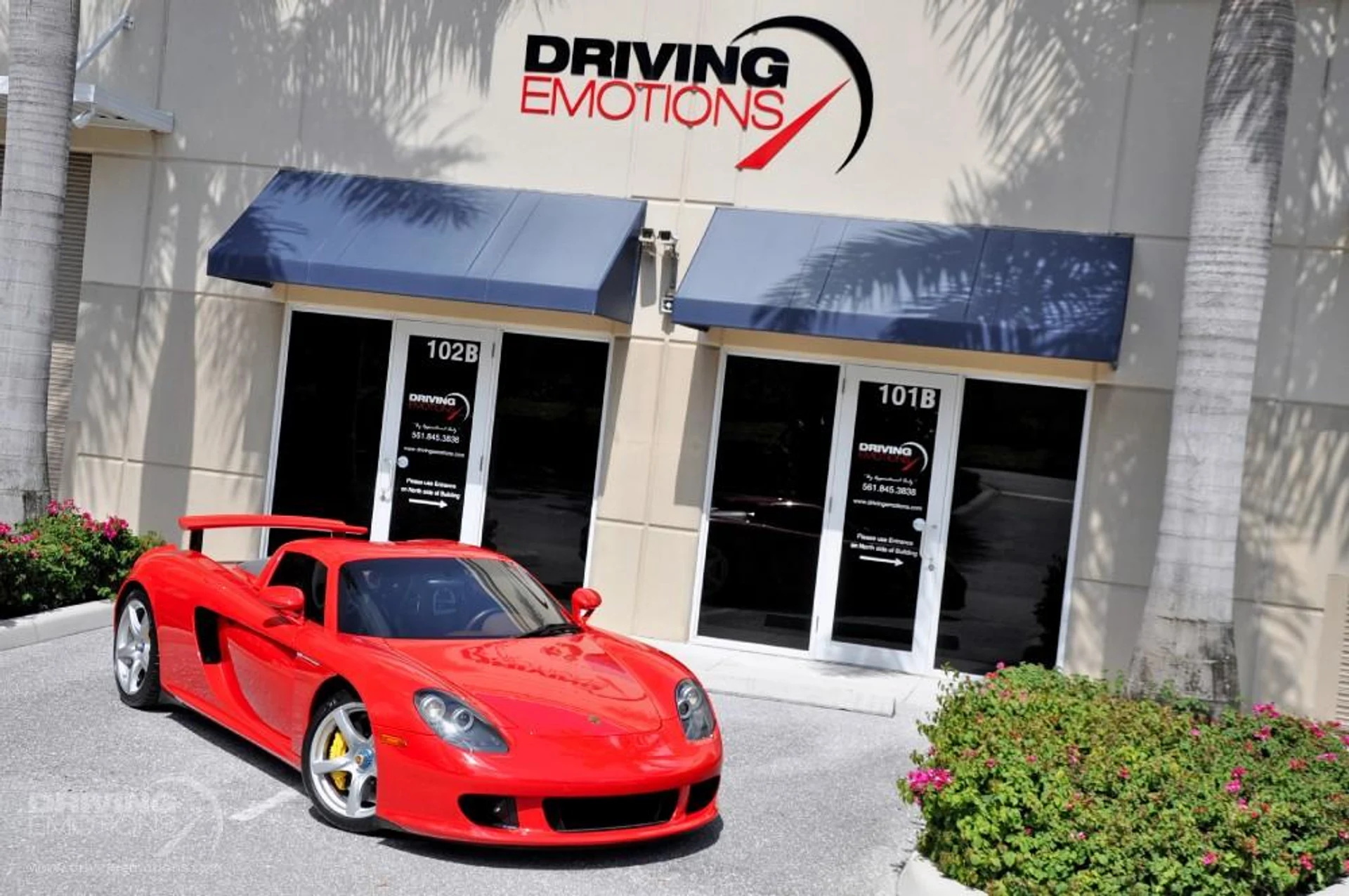 mph009_810912931_186_p10_l_826fa5a0e5