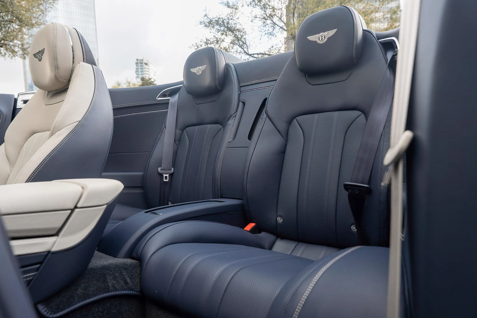 mph009_81870479_501195974_69ab239b2c201b60b6478794_5dabc32dc1