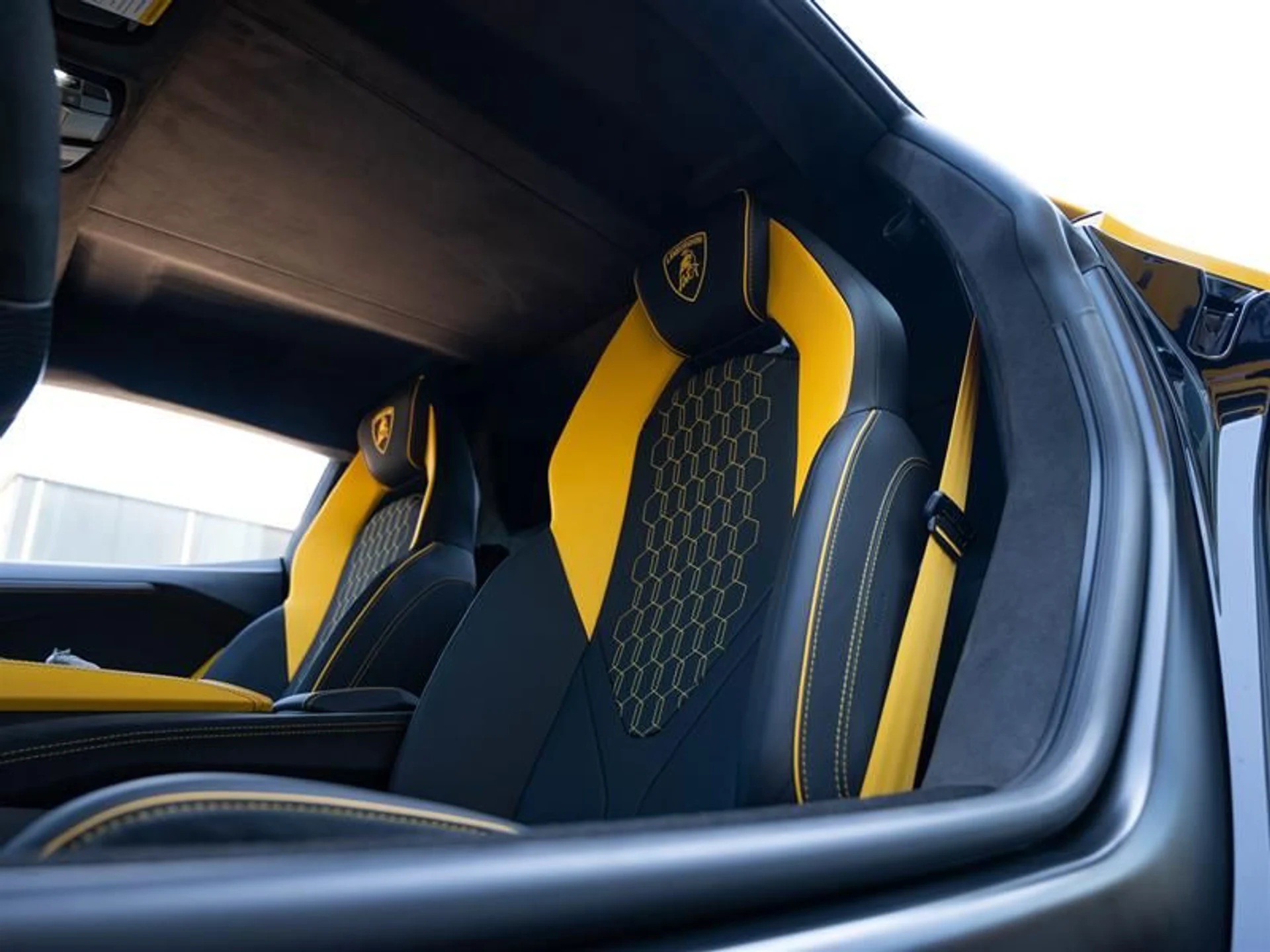 mph009_832844828_cqpmuy4a_8abea8eb63