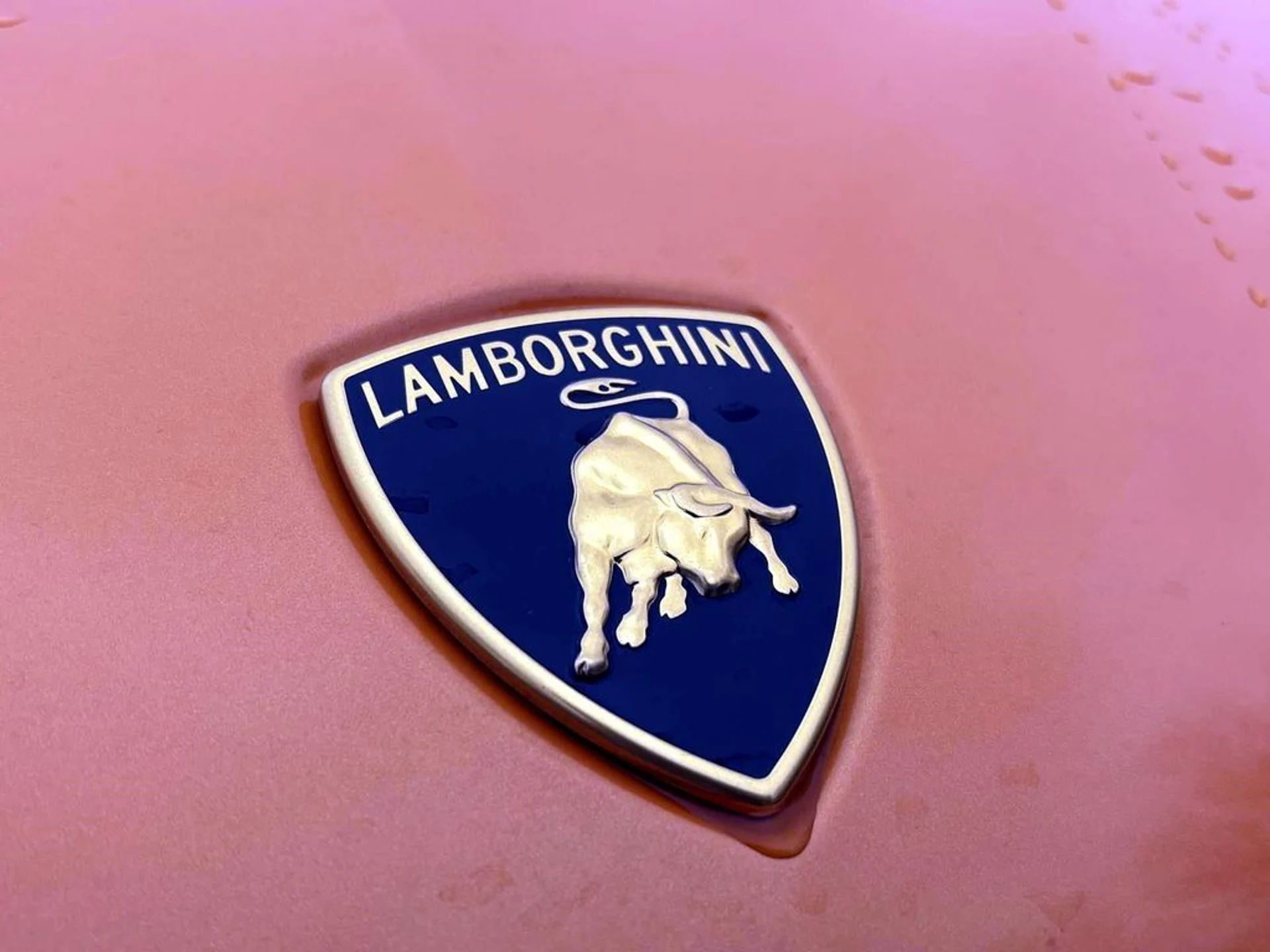 mph009_871083788_209fb4419b30e5b2e8eb3db68ecdad9bx_1bc1675c9c