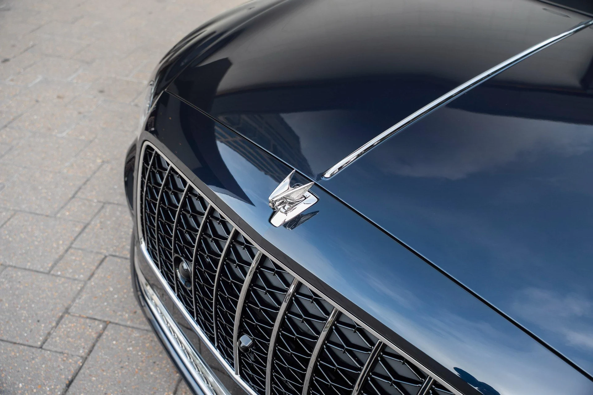 mph009_895474767_477619930_695e146e511ab76ffaffbc4c_19ee898d7c