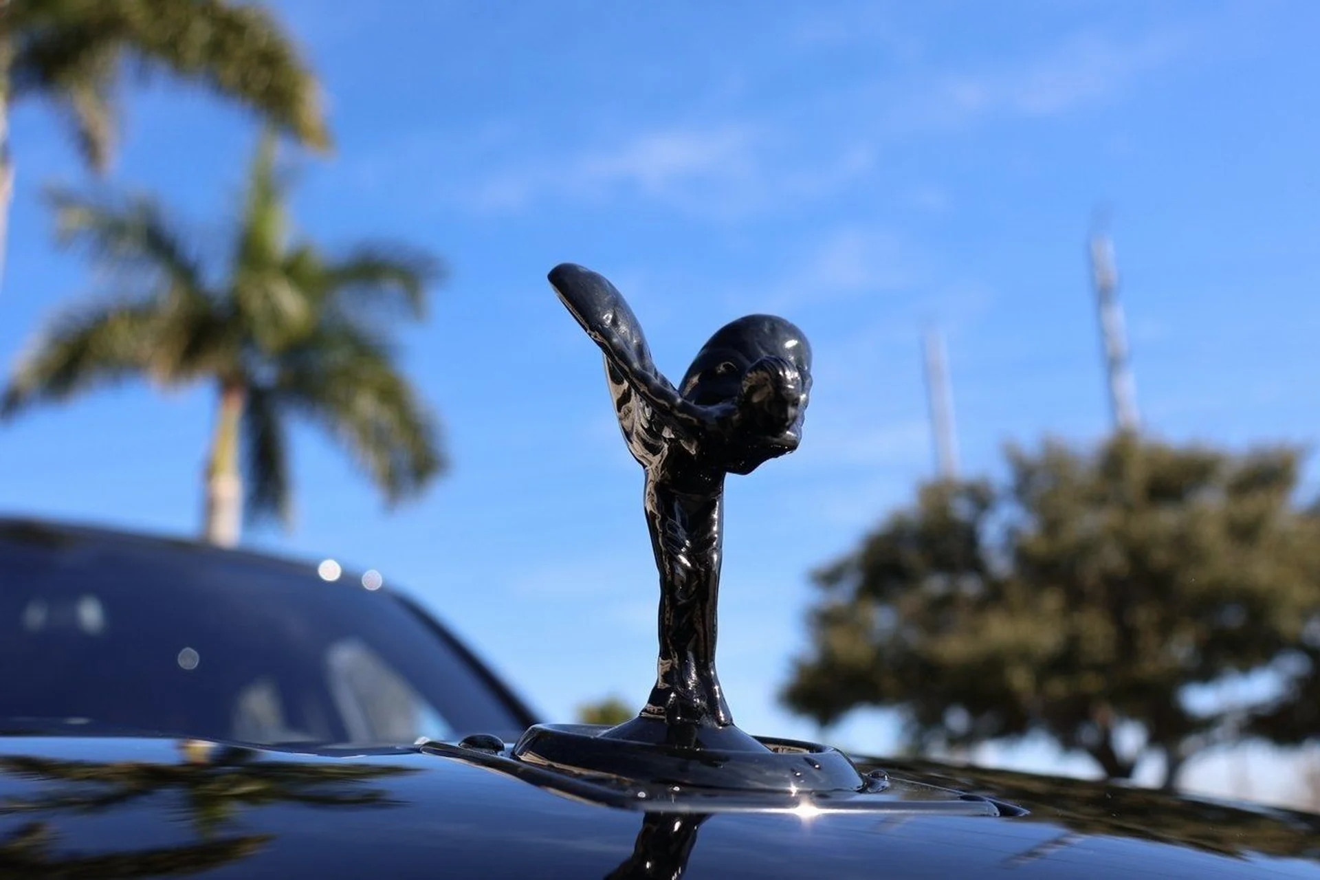 mph009_90390417_10_6ffba4f605