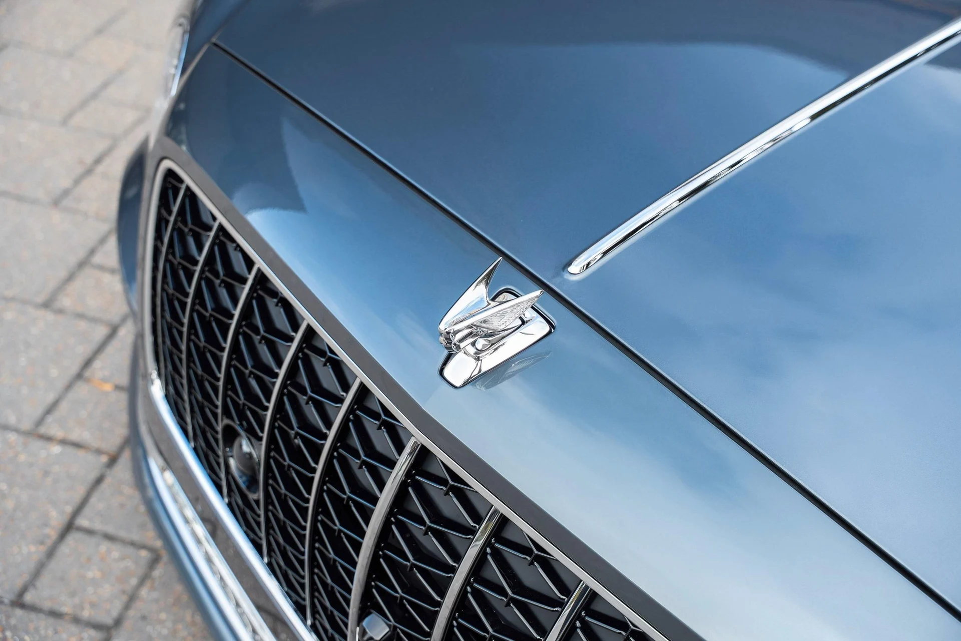 mph009_999795090_477619931_6954c0354e73cd9f103f504b_bfe6e726b2