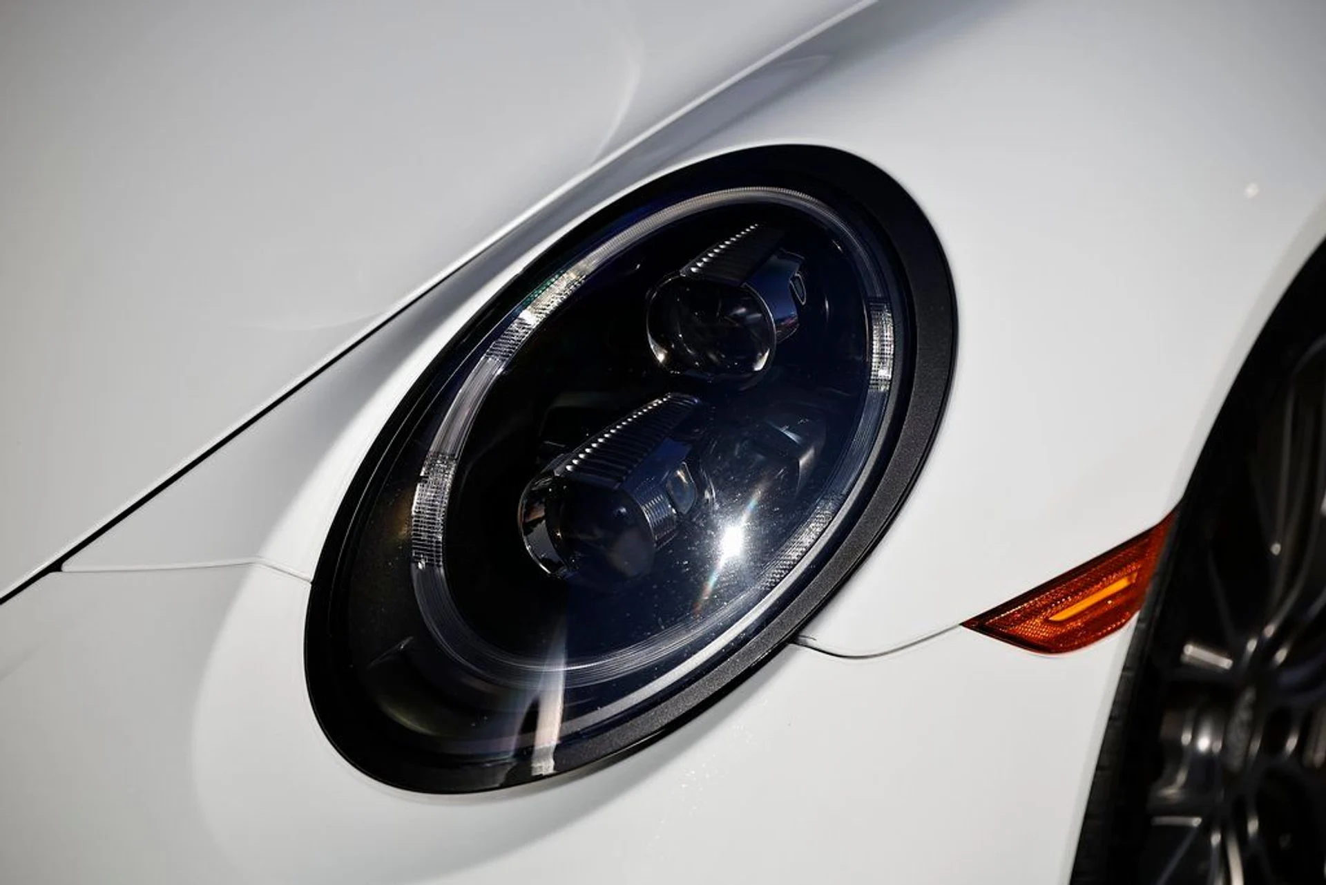 mph010_1049005653_0ccb6967de475a1906a40aa1b14880db_d5e70fd4ca