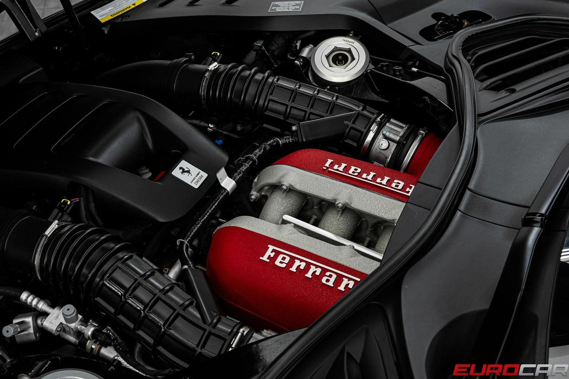 mph010_1061551939_image_11_7e62e9ed85