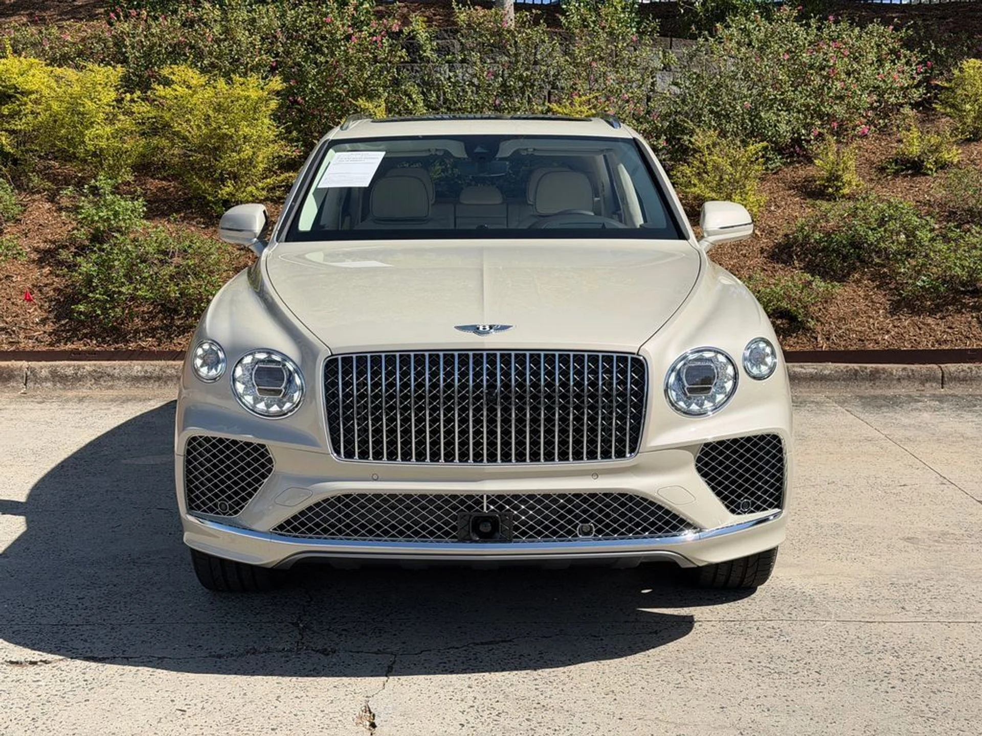 mph010_1097280736_2fc9fab85d6b4651ac4521b65c6738dd_556b1684c0