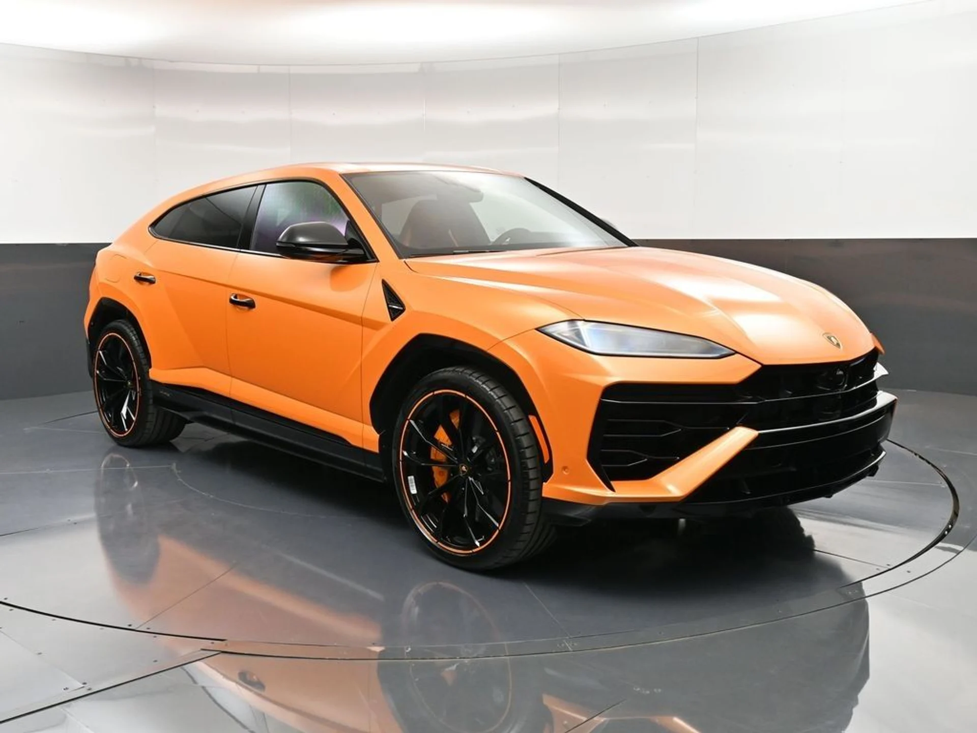 mph010_1119817481_image_10_81ded2ce9d