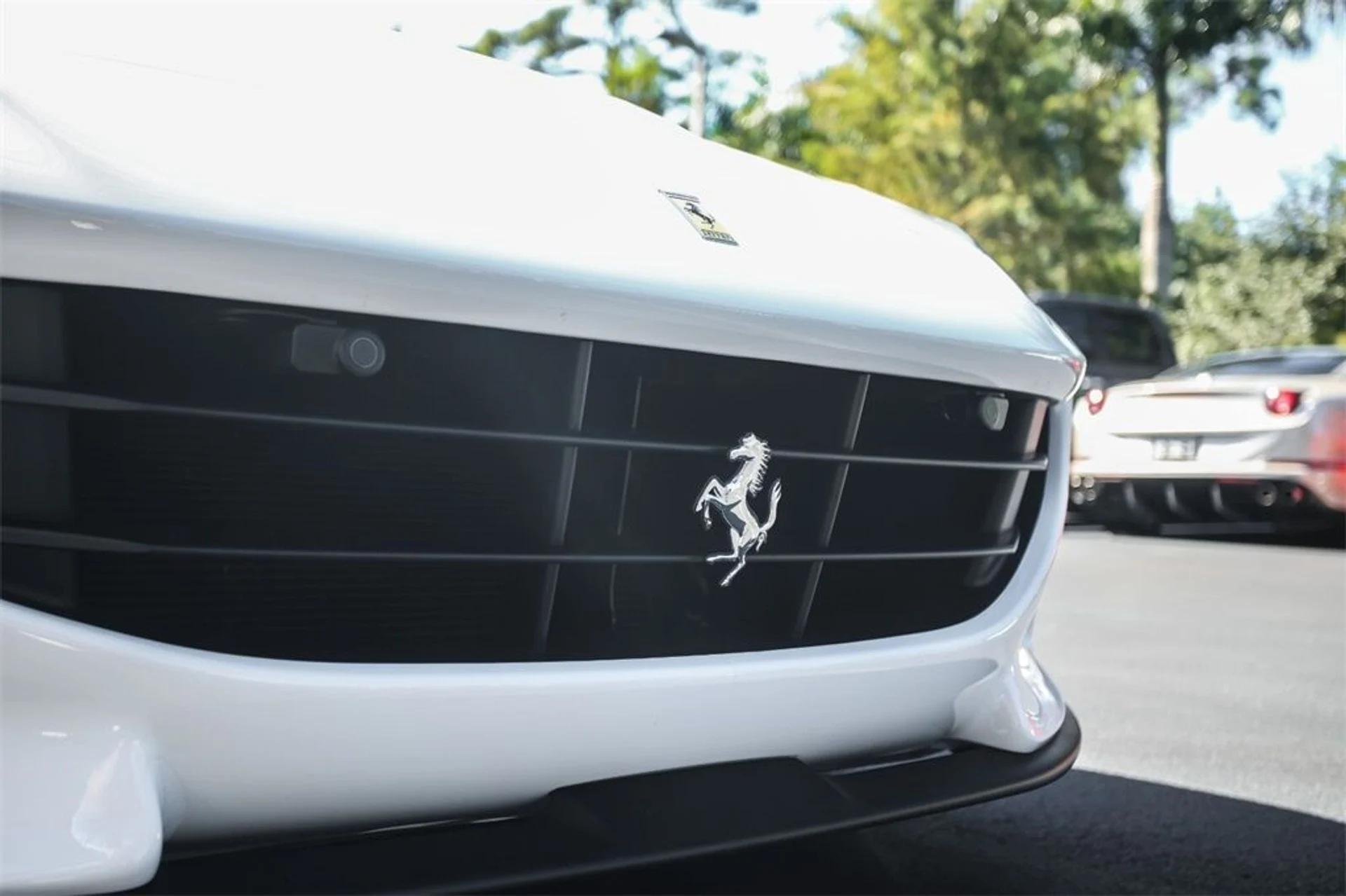 mph010_1204019655_ab381a7d336b8d4a9f5b675612ed8b0f_81a6d60b99