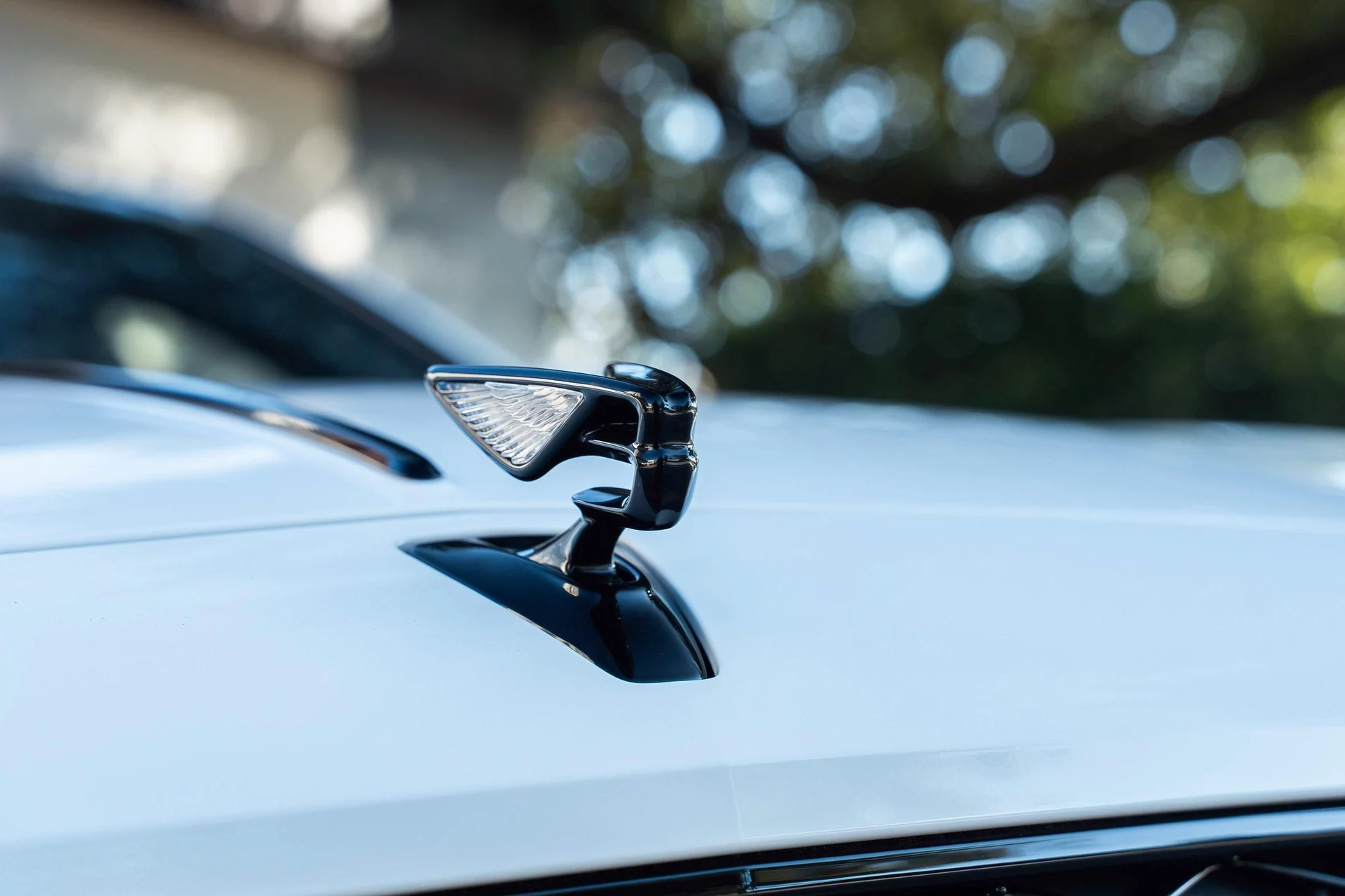 mph010_1362025071_462758417_6954bfd34e73cd9f103f4f48_1066b58a30