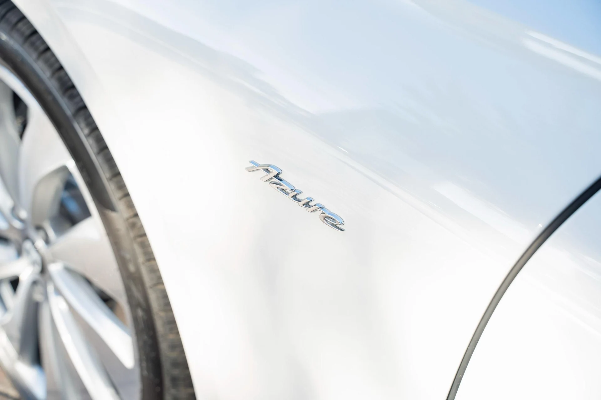 mph010_138879011_478163262_6984353ea729137fb48dee6c_fa055b4f35