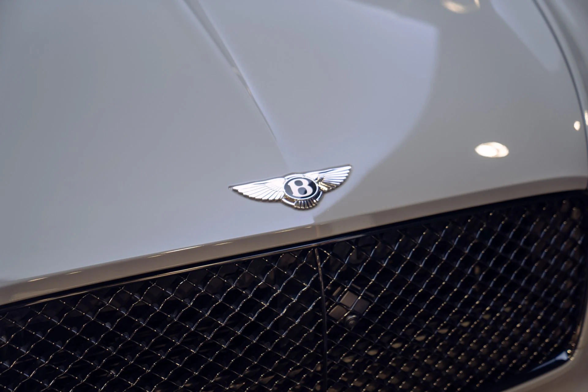 mph010_140271641_Used_2022_Bentley_Continental_GT_Speed_in_Camrian_Grey_w_Factory_Carbon_Kit_Rotating_Display_1790791293_e0c844a5d6