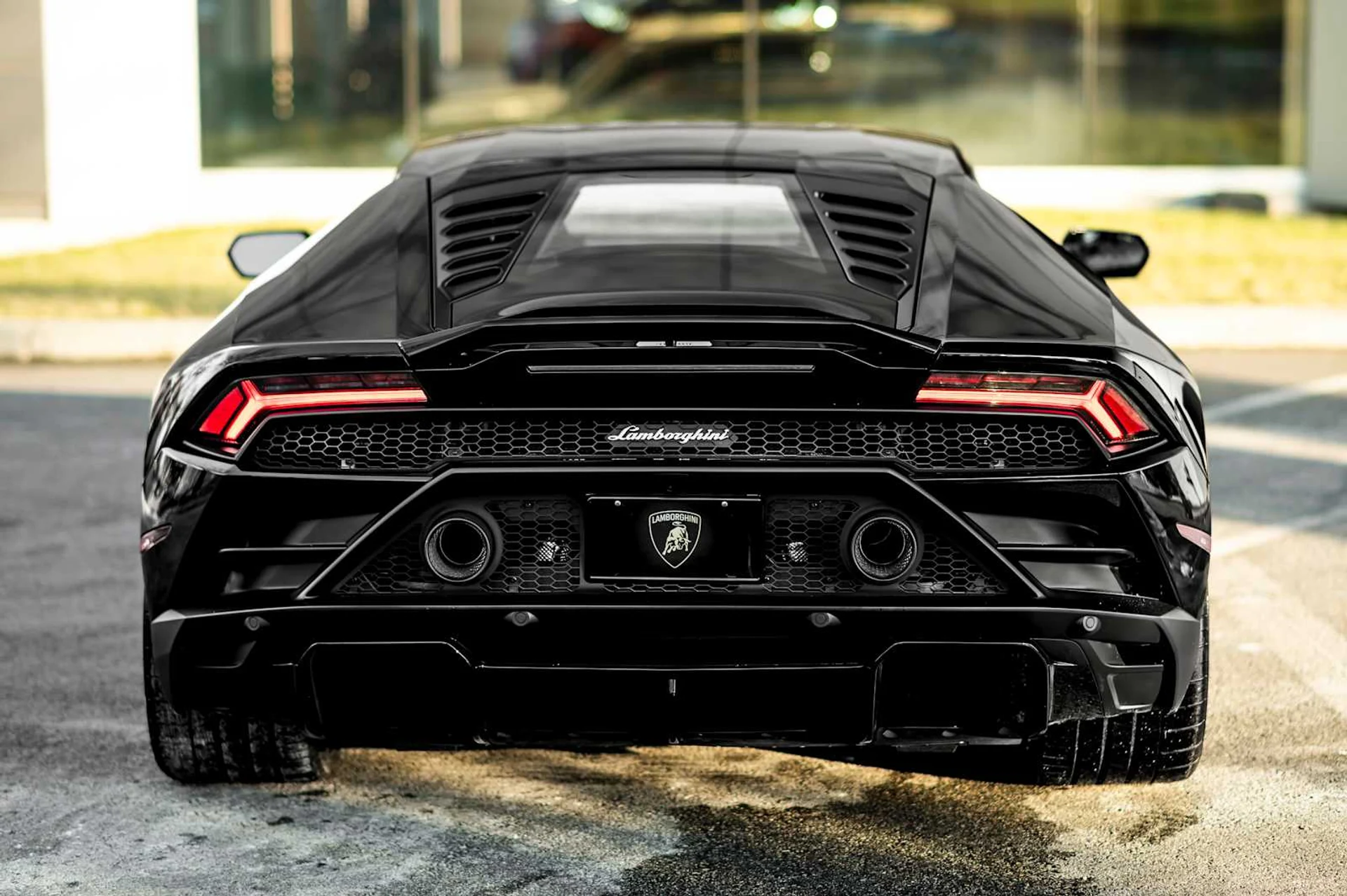 mph010_1428455528_413966d358982be651e368e7cc99601ax_5d80fee32e