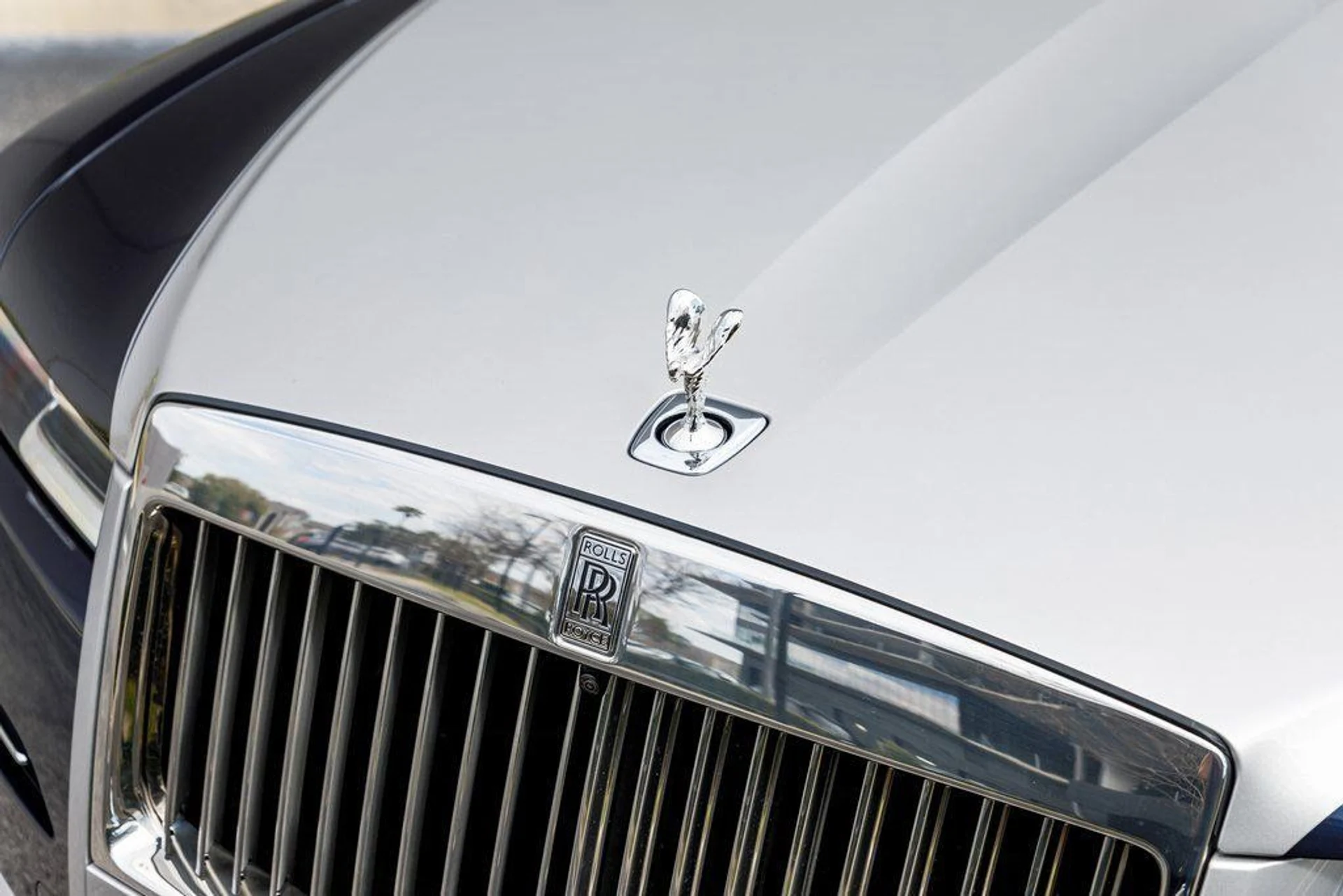 mph010_1462145838_d5cf22ba78596d9bc08951155636e264_960c416af0