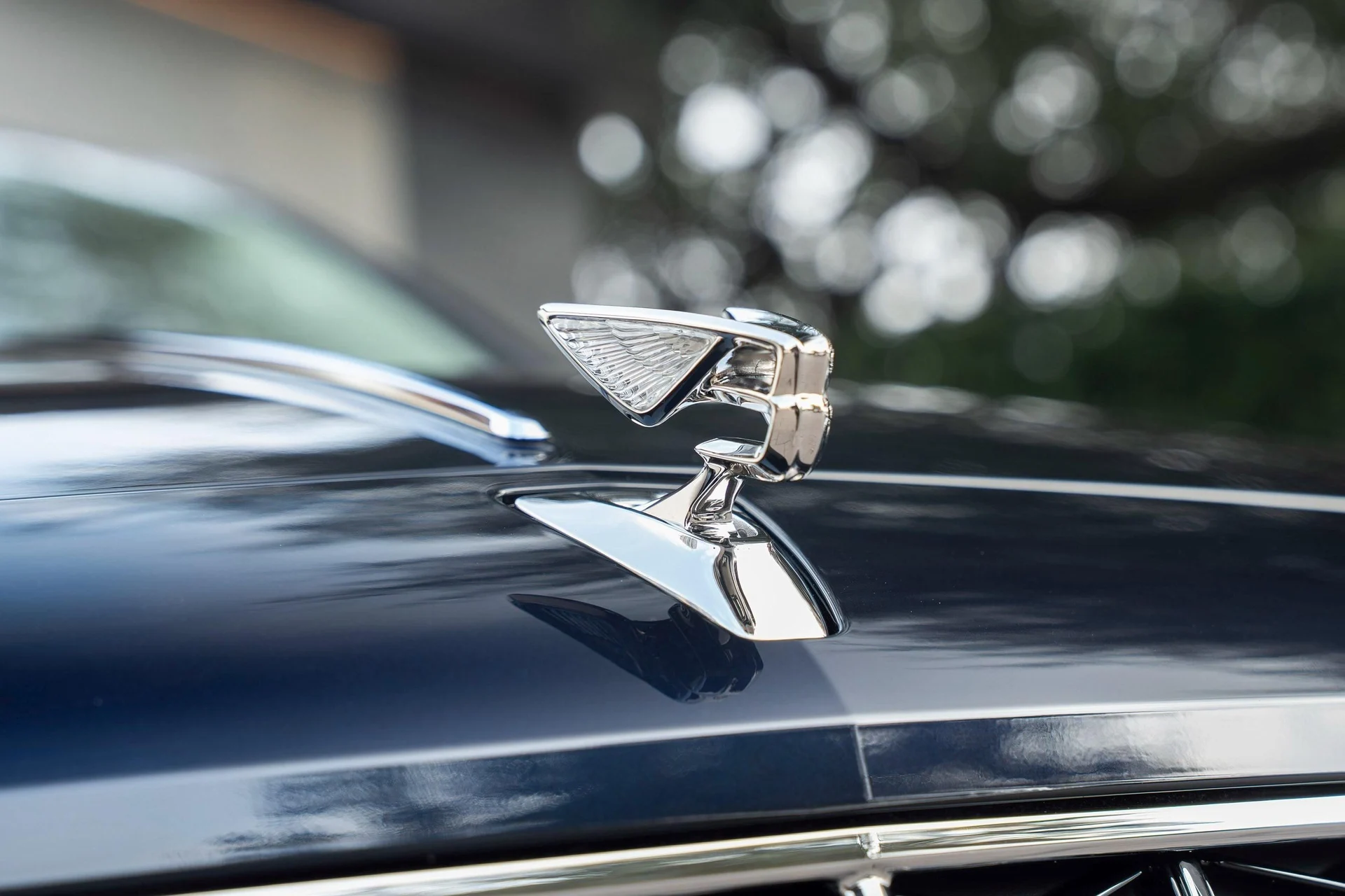 mph010_1508471193_477619930_695e146f511ab76ffaffbc4d_e5e852f7fc