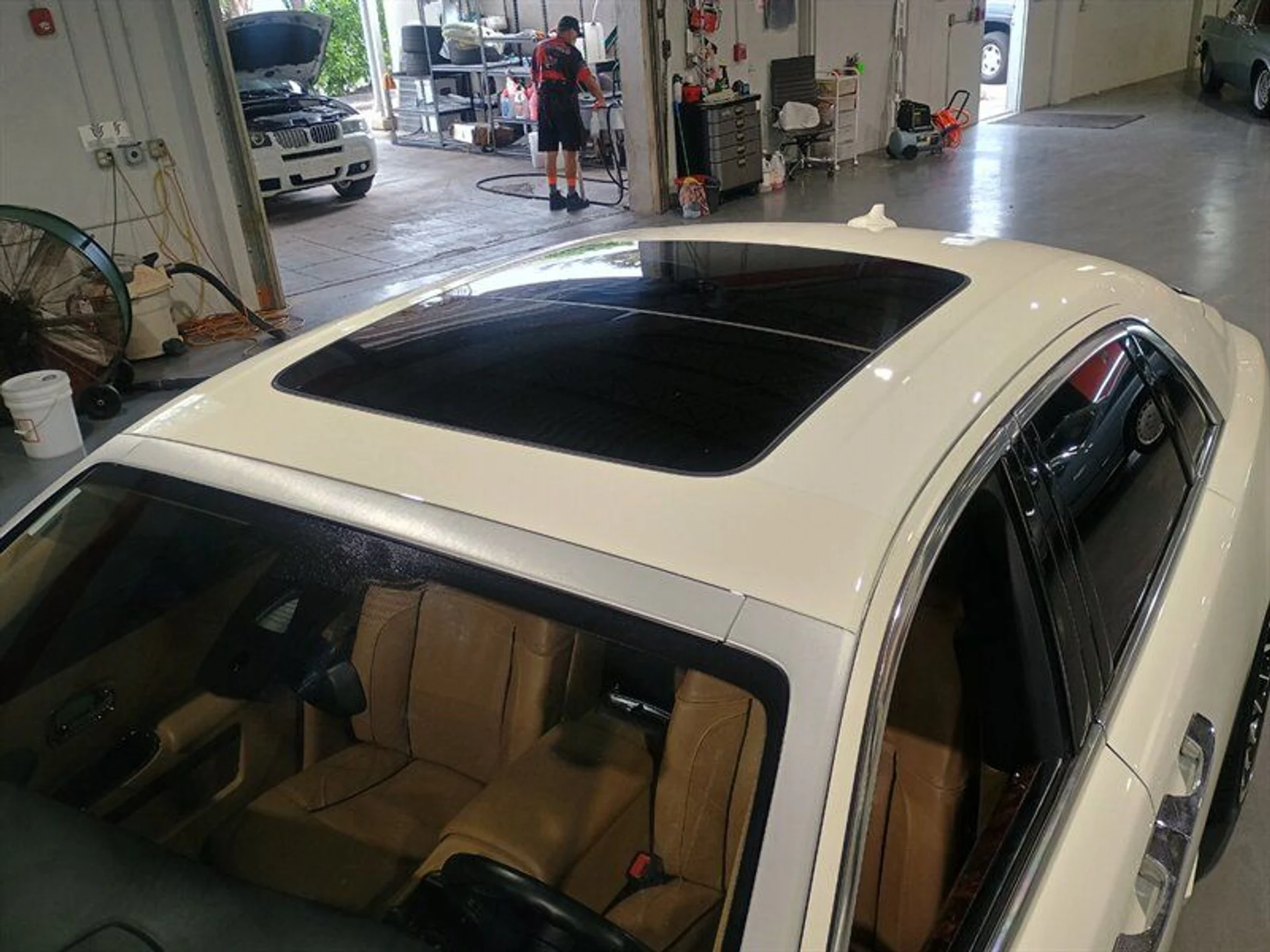 mph010_1555309361_45c979c29f_800_04cc063d04