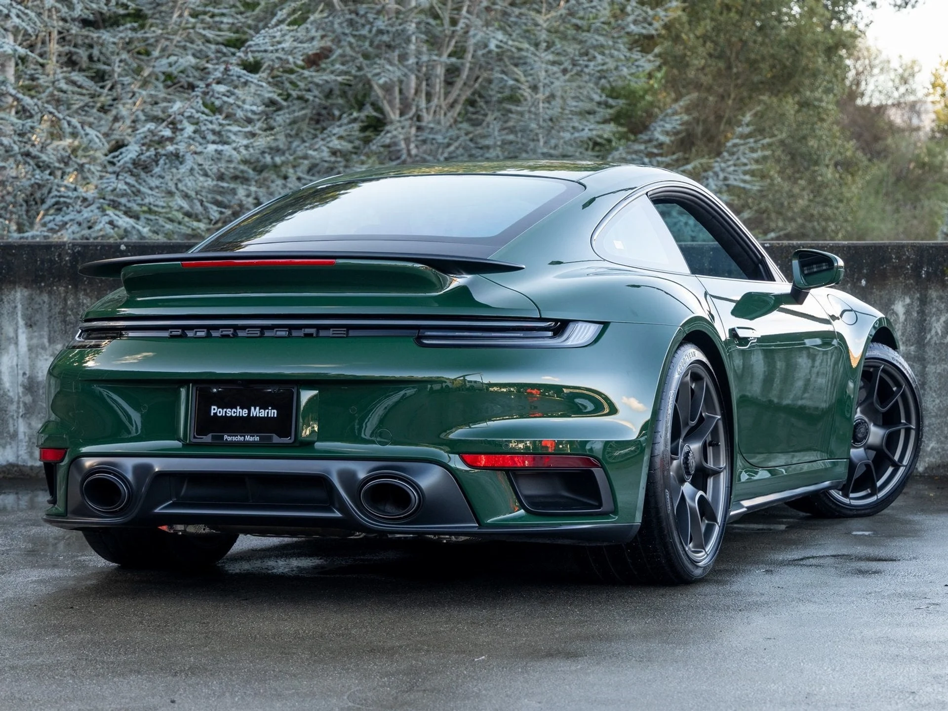 mph010_1572750918_11_7fc364fb33