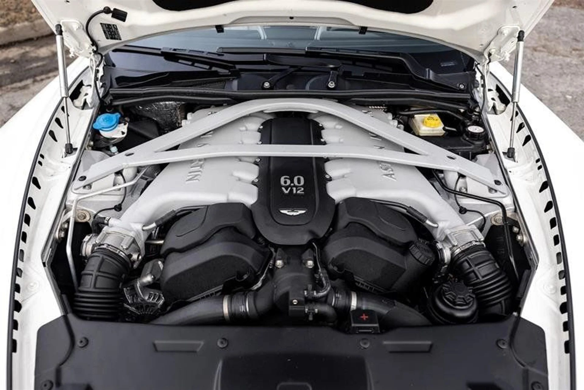 mph010_1658426569_37286369_00169_11595841_1539741172_644a188c96