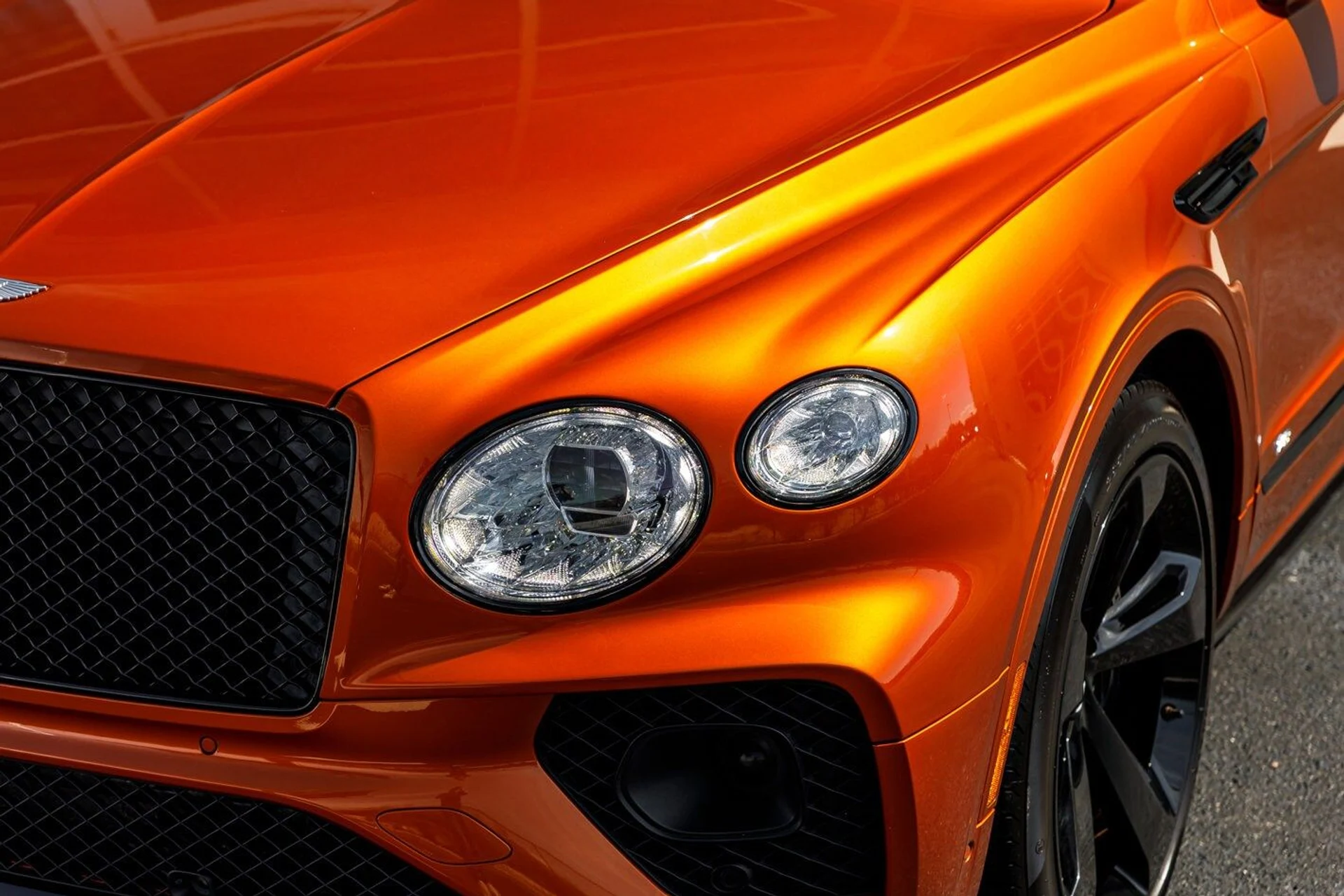 mph010_1662708838_dece90bfcec88a57e40cdd942e08914cx_497e05889b