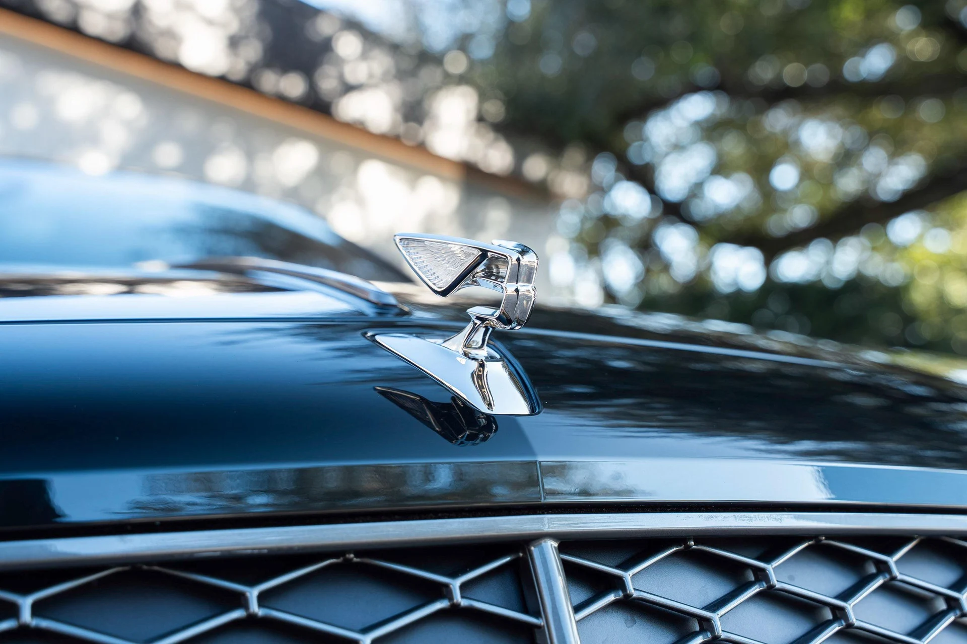 mph010_1709655413_489302490_6984353d6d31c9793f9d07a5_c29dd6d4c4