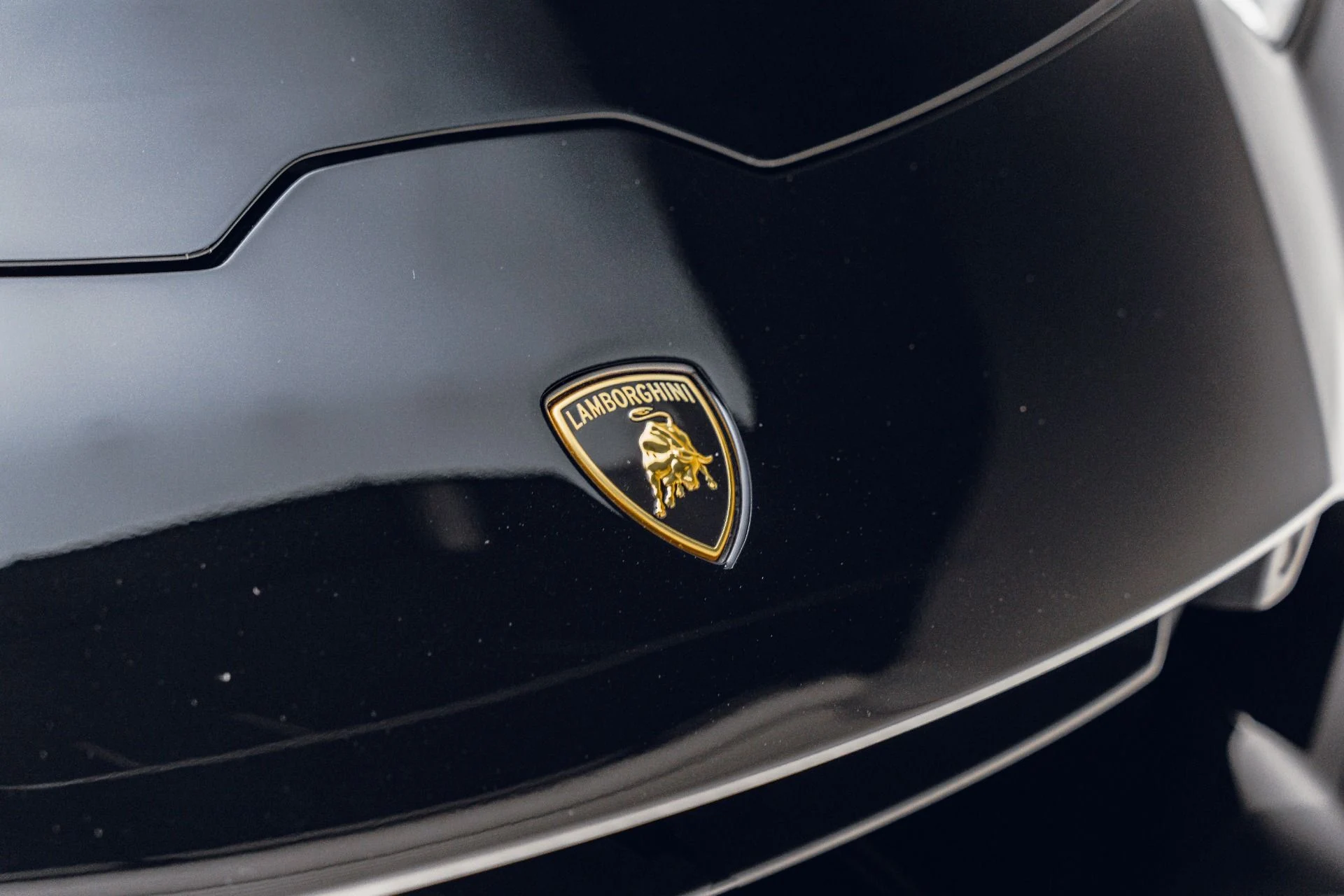 mph010_171039313_Used_2021_Lamborghini_Huracan_EVO_1782507487_0eb4a9c30e