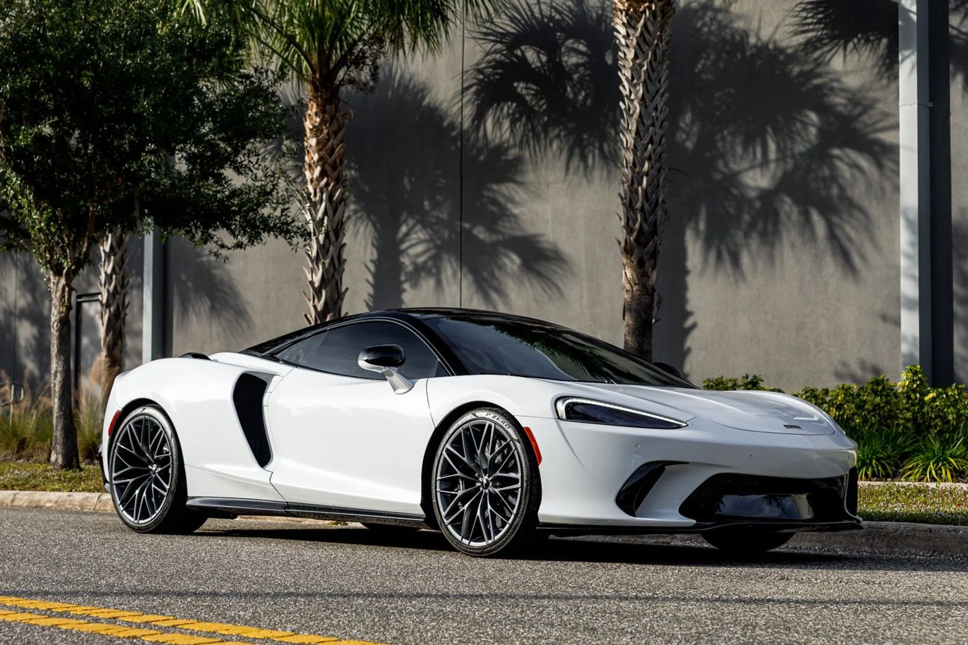 mph010_1766615064_631_p11_l_1aae434592