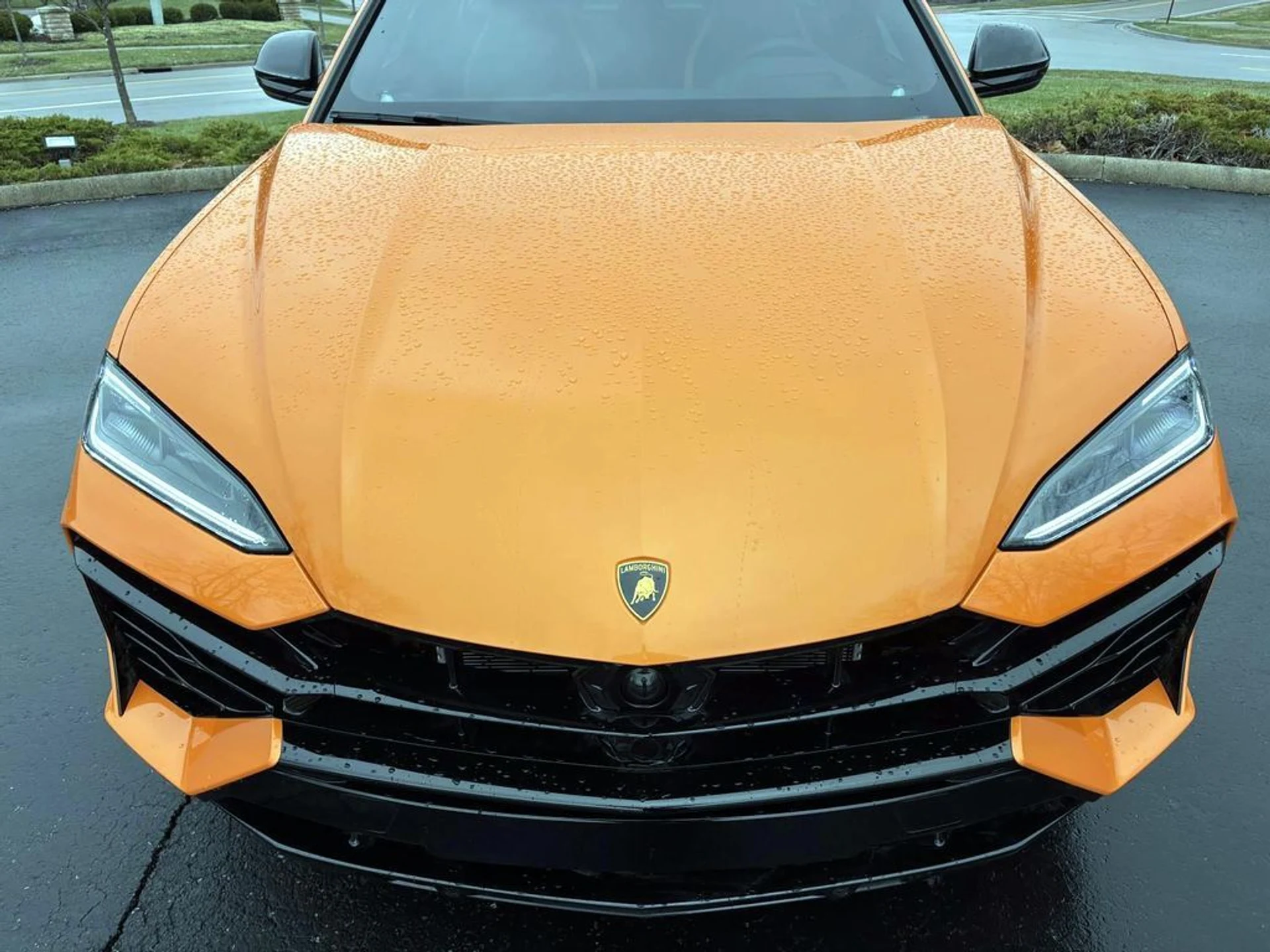 mph010_1789976437_21d192ffe3c533d41287880c3b29e2d4x_d1dbf97fb8