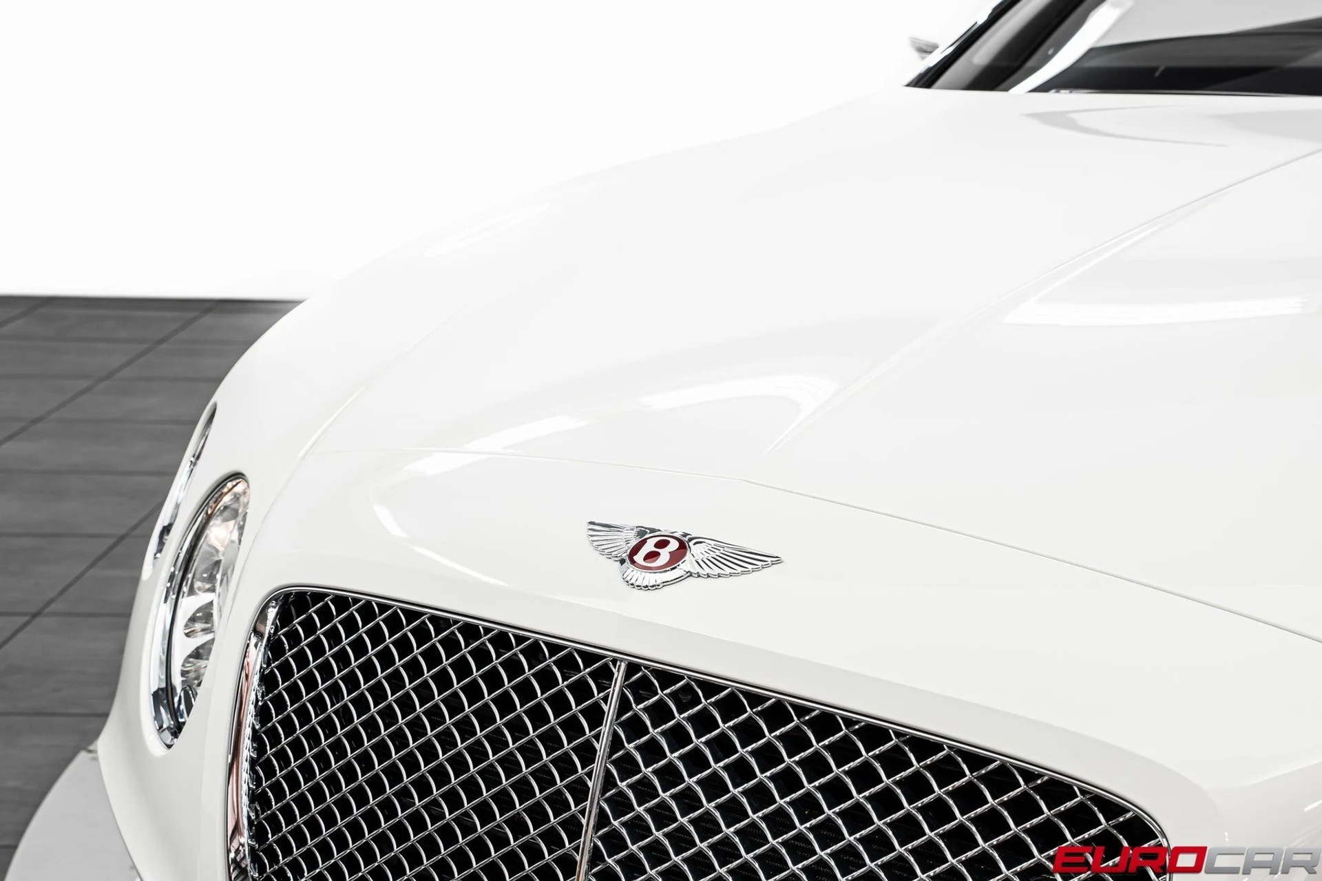 mph010_1800421587_image_11_d80734de3e