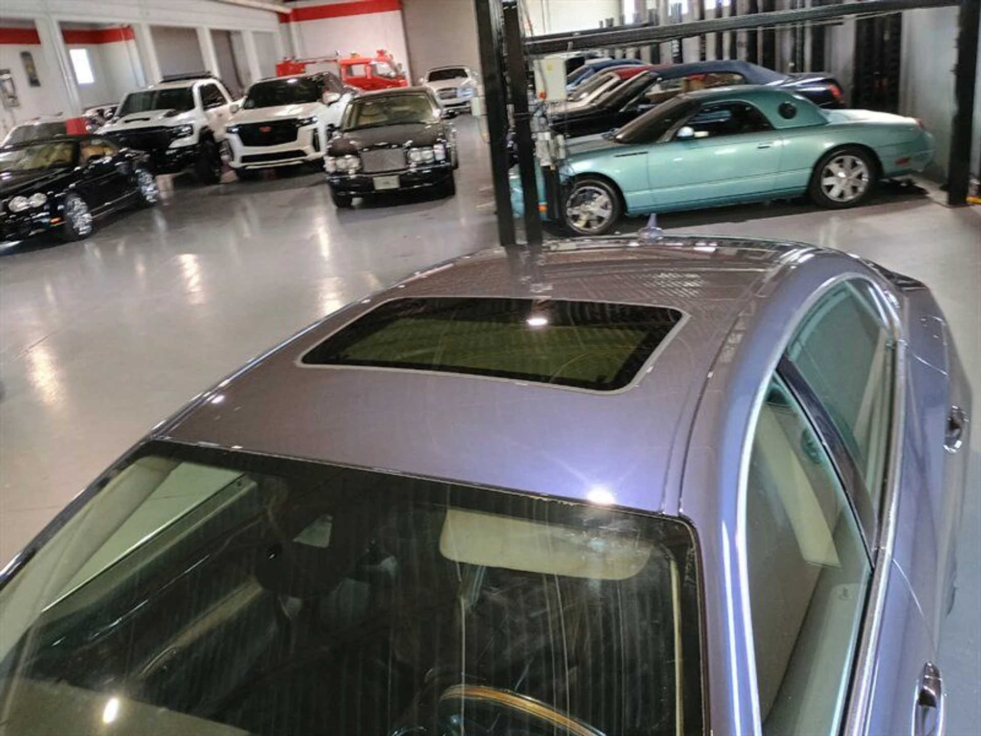 mph010_180863462_005e8bb49b_800_d0c2069b00