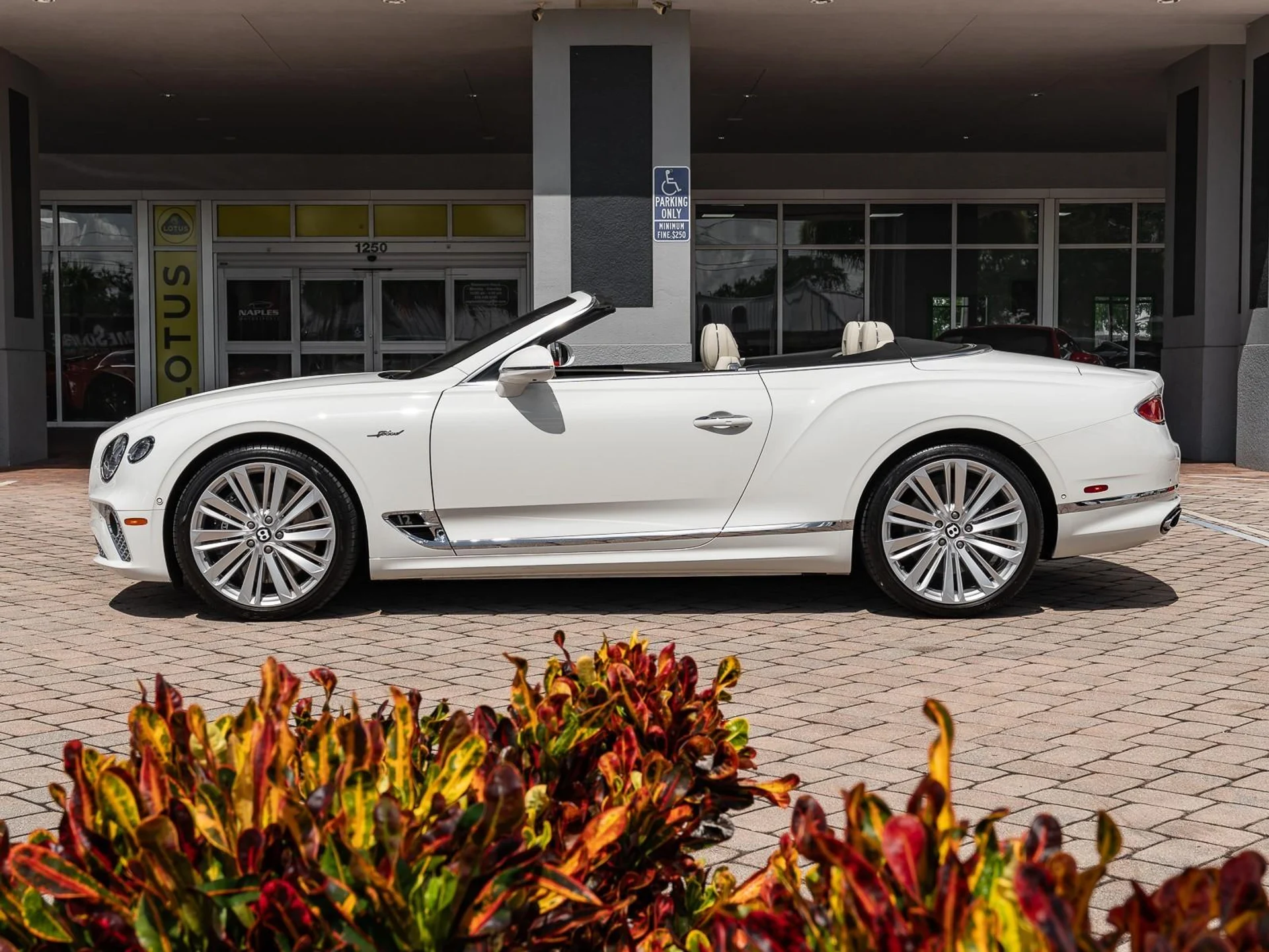 mph010_1869012540_Used_2022_Bentley_Continental_GT_Speed_1755029146_c7b9a9d976